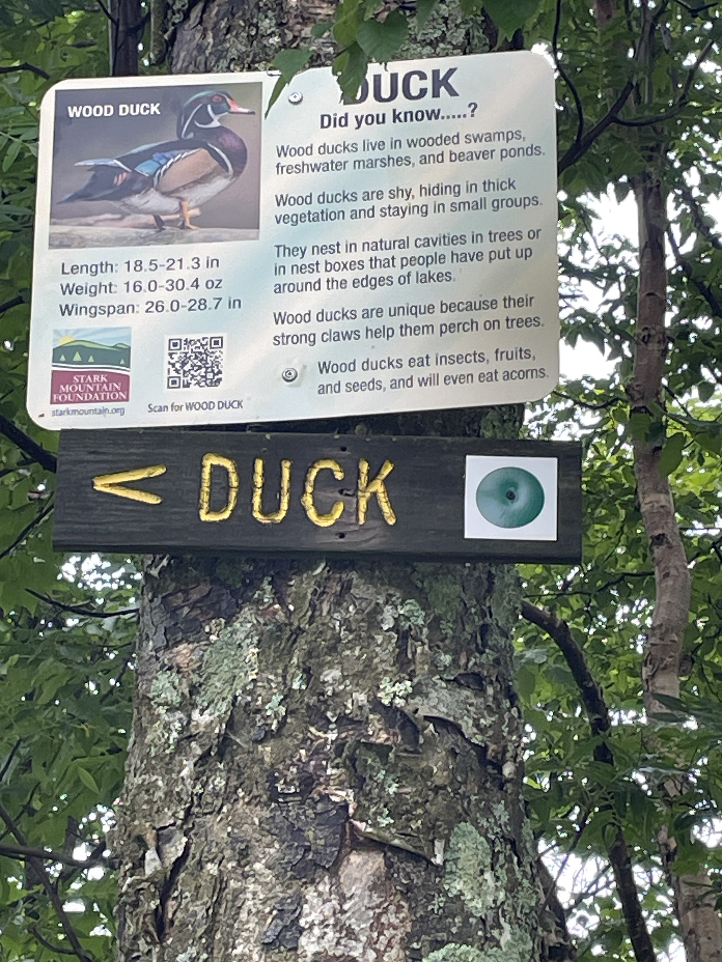 There are 10 interpretive animal and bird signs to read along your way. 