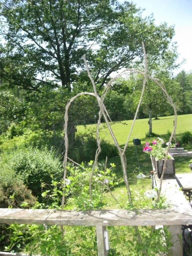 Happy Marsh's Rustic Twig Trellis
