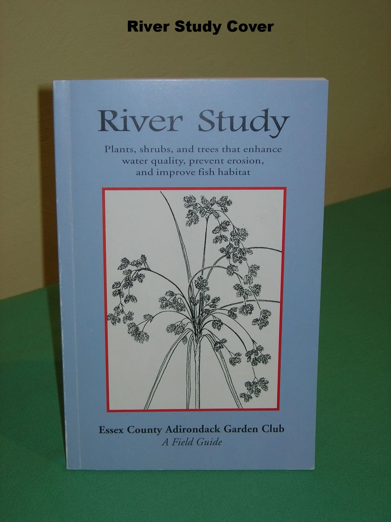 River Study Guide