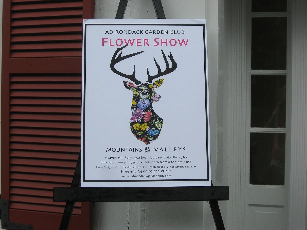 flower show (10).jpg