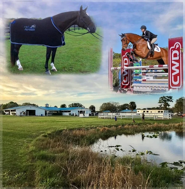 Tarawinfarm_front_collage.jpg