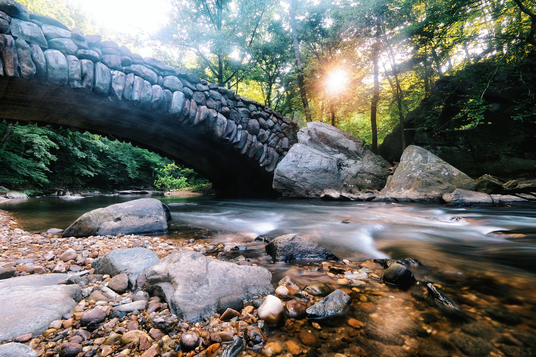 A morning walk through Rock Creek Park is a great start to any day.