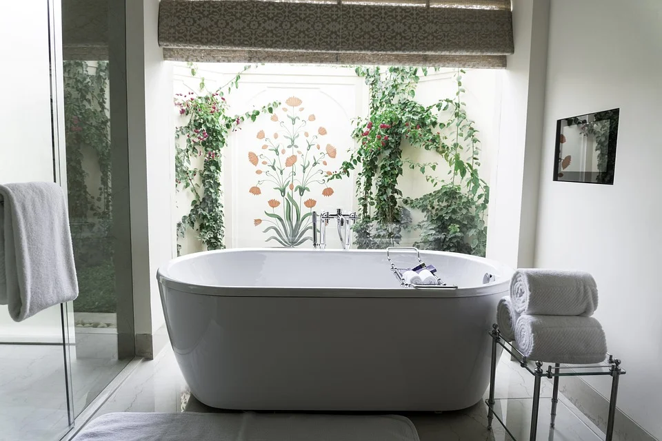 bathroomtub.jpg