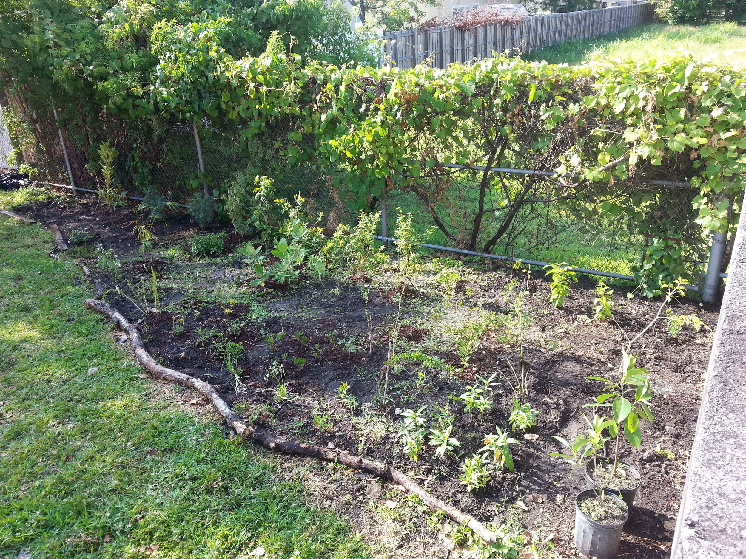 Garden_top_view.jpg