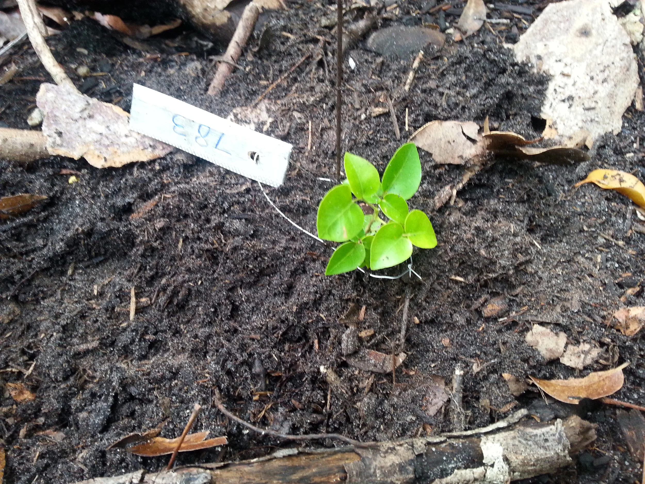 20150114_134300.jpg