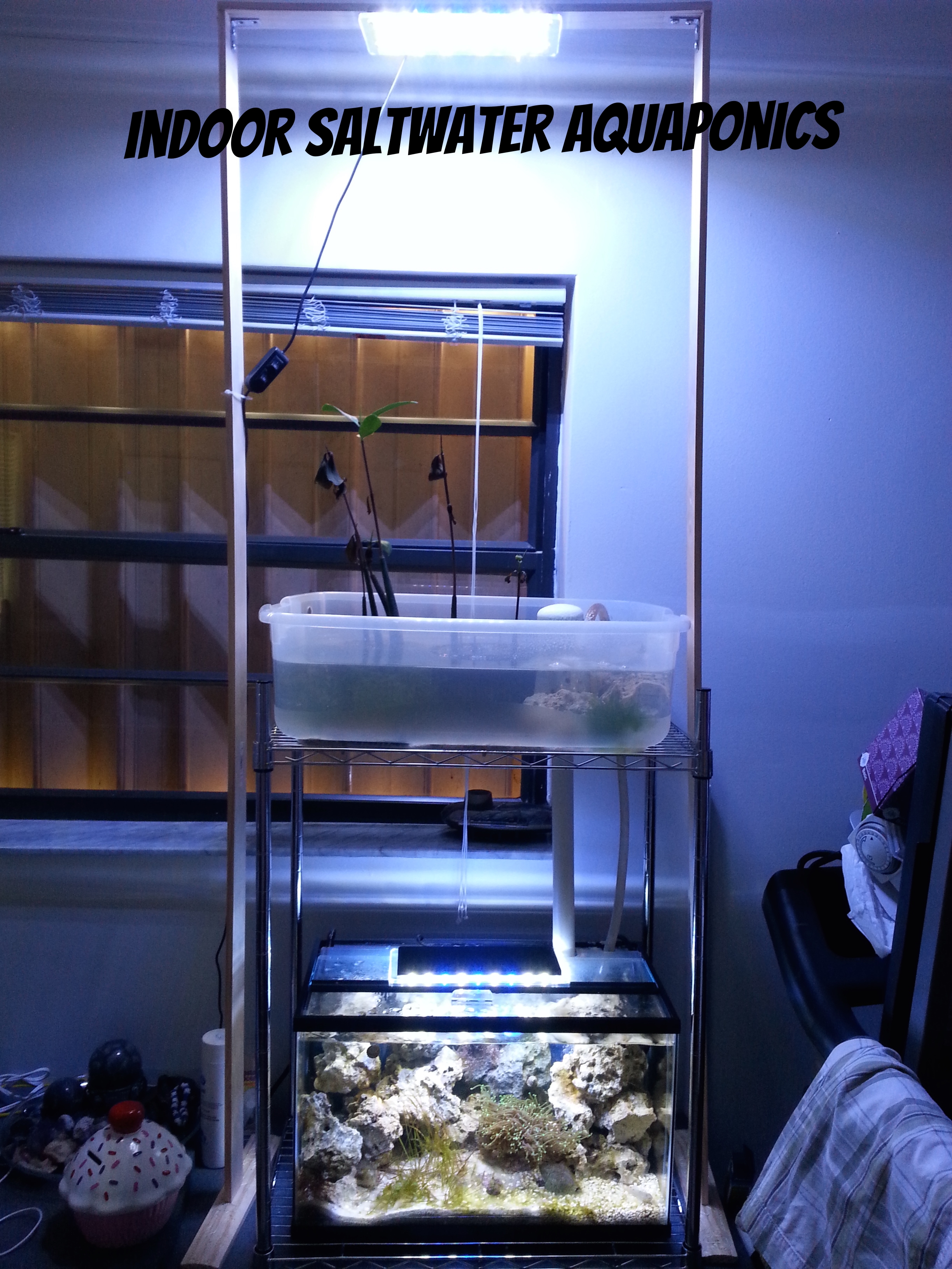 saltwater aquaponic.jpg