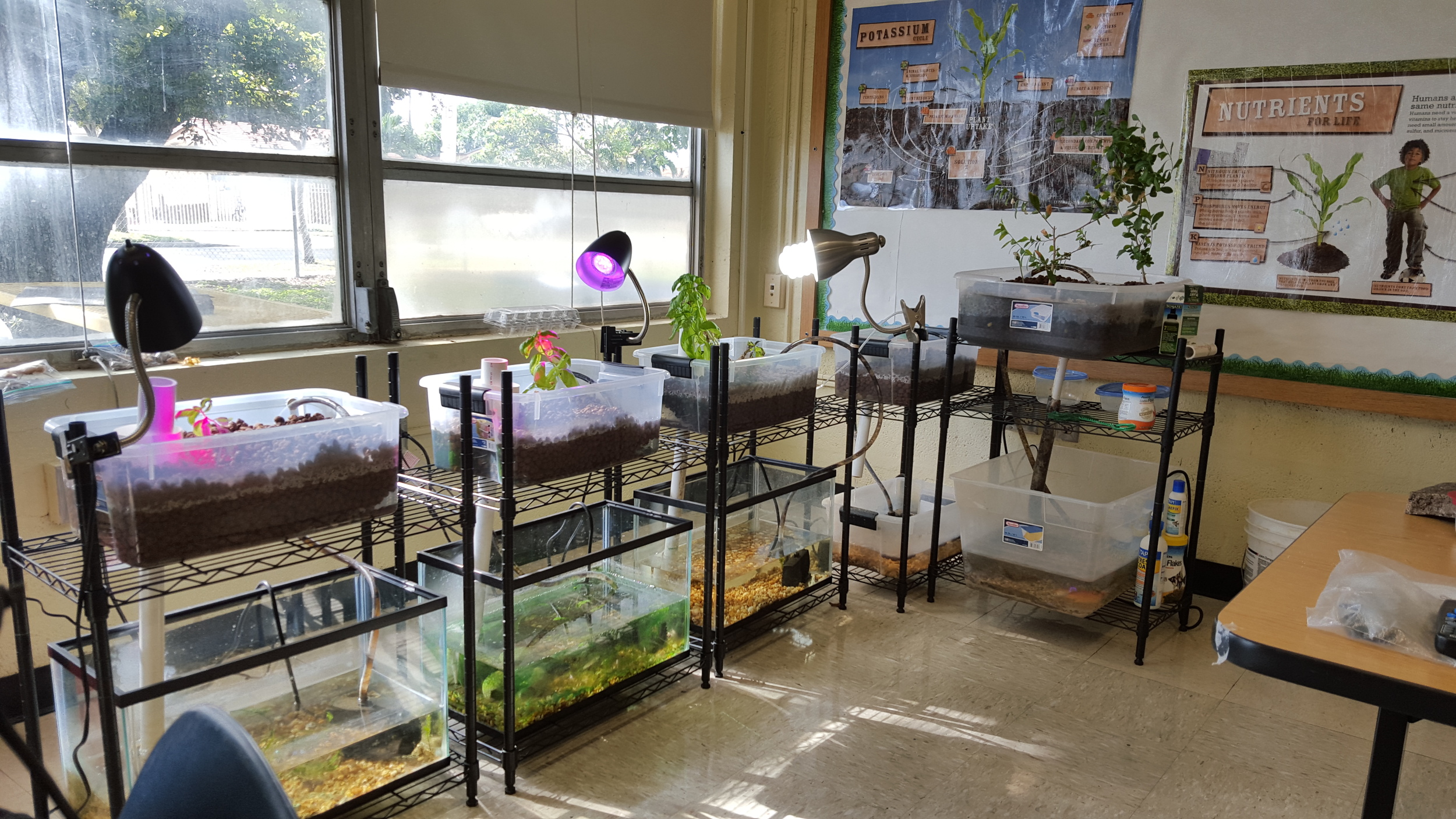 Aquaponics_Hialeah_Classroom.jpg