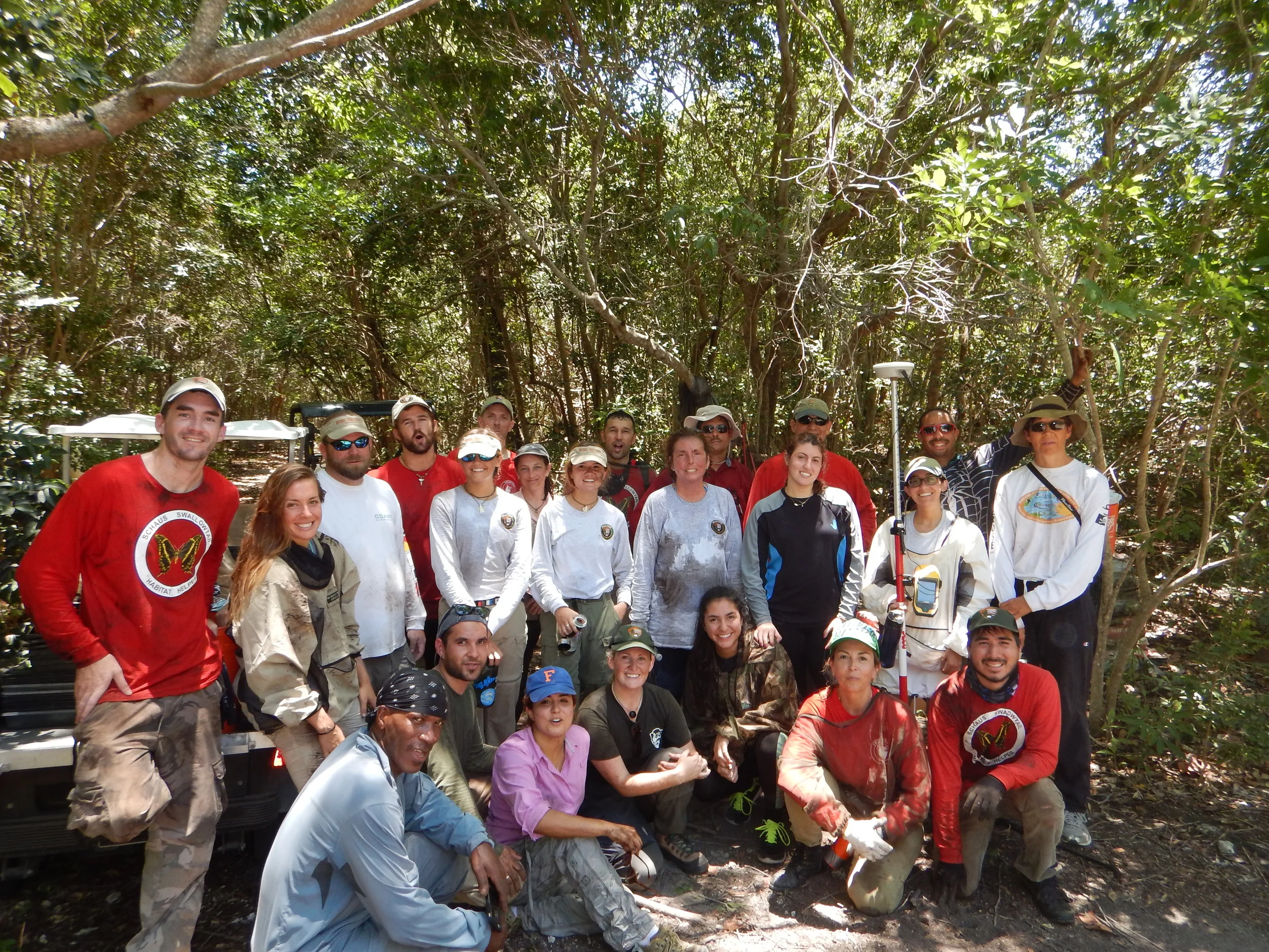Staff (NPS) and volunteers (Sierra Club) participating in the "Schaus swallowtail habitat enhancement project".