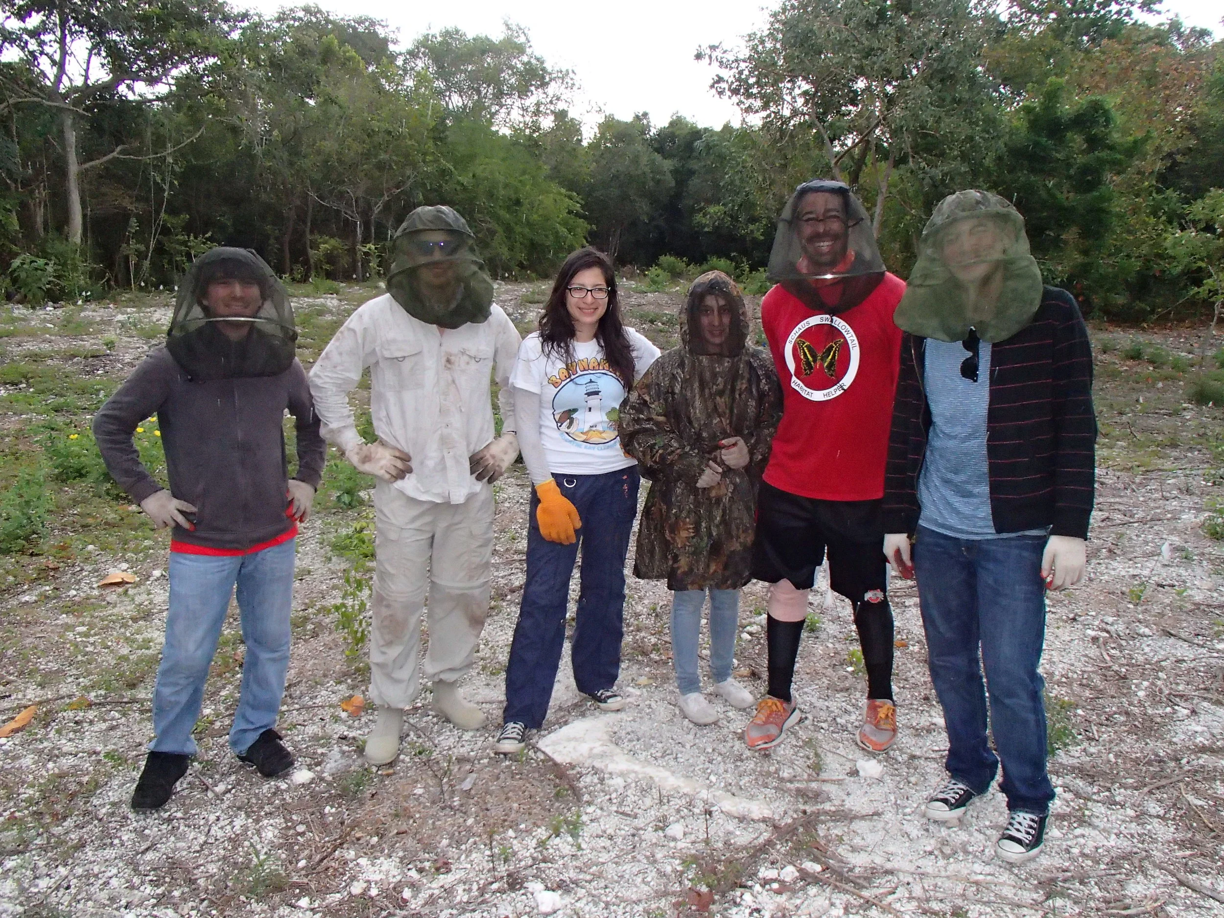 National Park Service staff and volunteers at the main restoration site (Schaus' swallowtail habitat enhancement project) at Elliott Key.