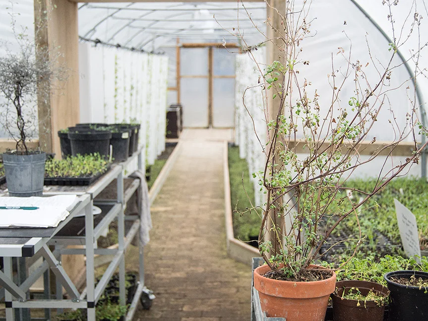 BIOARK - Polytunnel med grotårne, spiregrønt, mikrogrønt og grøntsager.