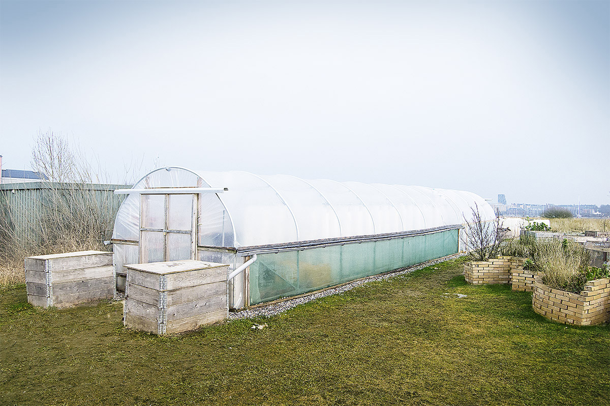 BIOARK - Polytunnel