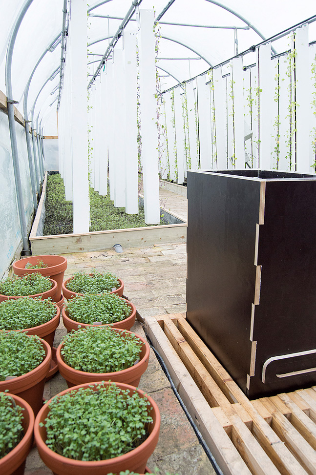BIOARK - Aquaponics 