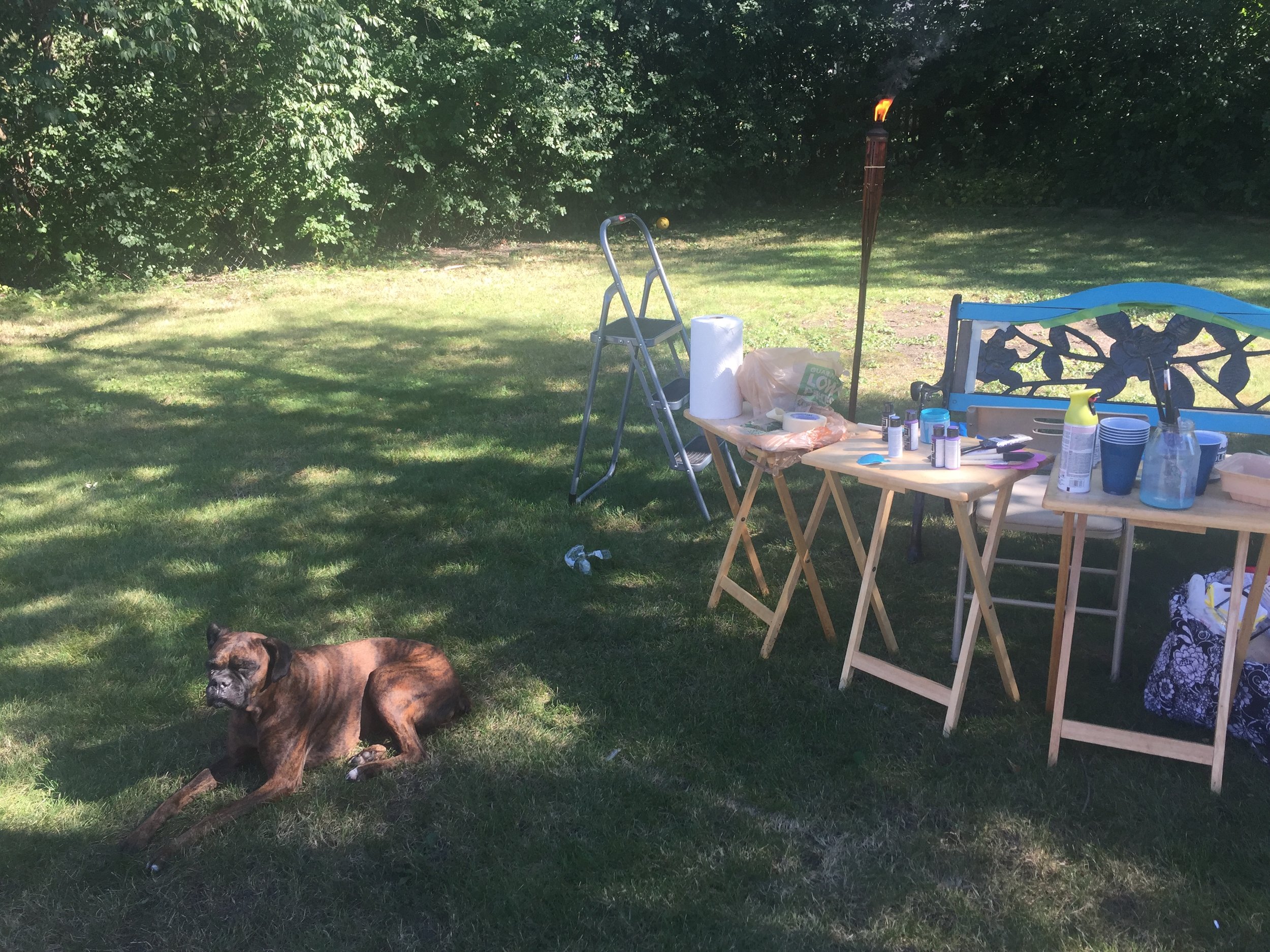 Summer, the guard dog. Guarding the Gates of Splendor as per usual.