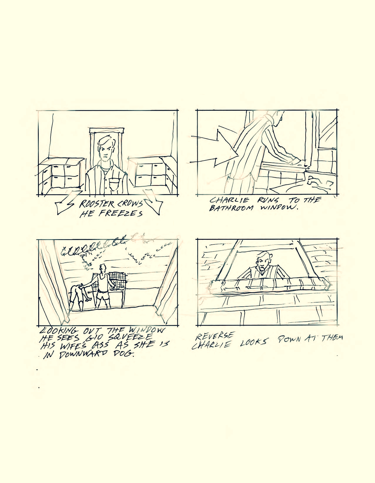 Rooster Storyboards Finished email_Page_03.jpg
