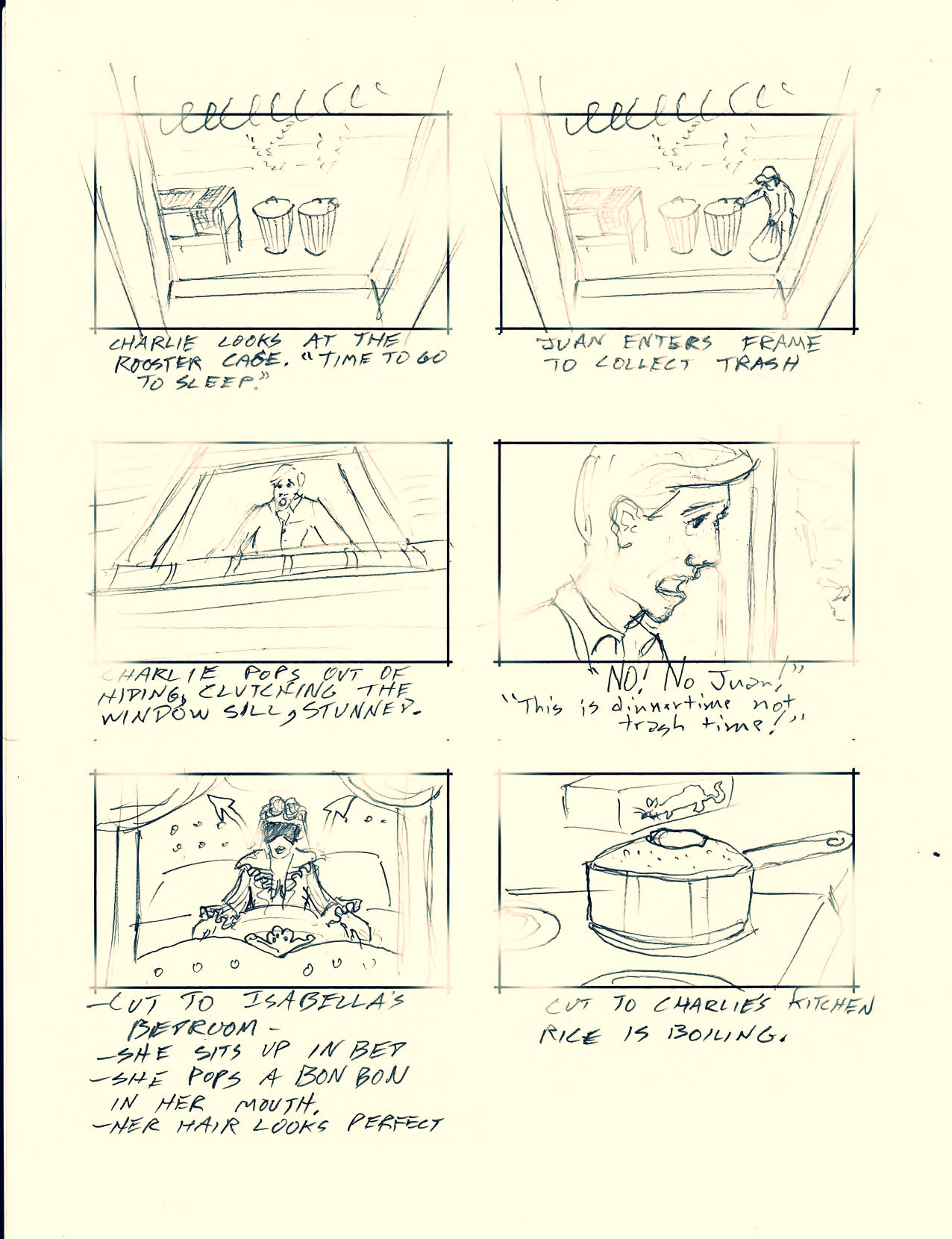 Rooster Storyboards Finished email_Page_21.jpg