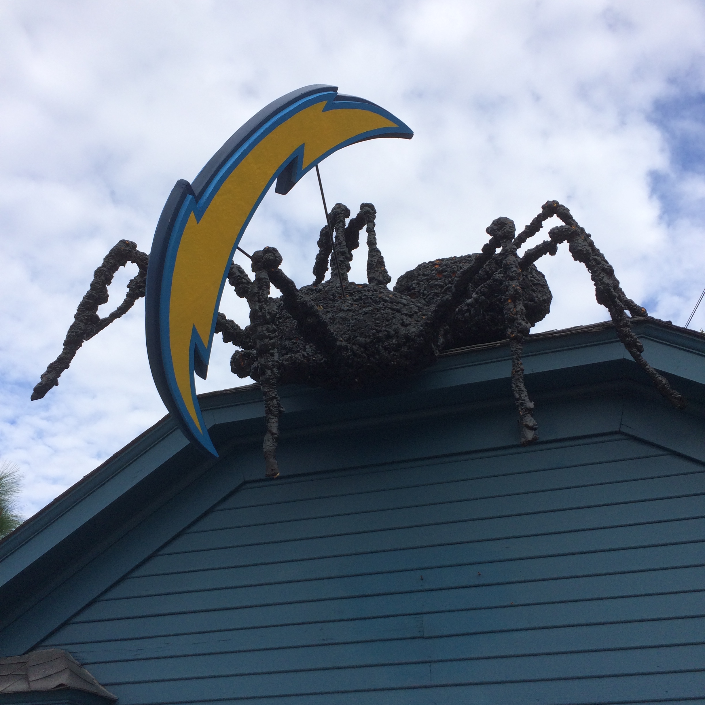 Spider on Hermosa.jpg