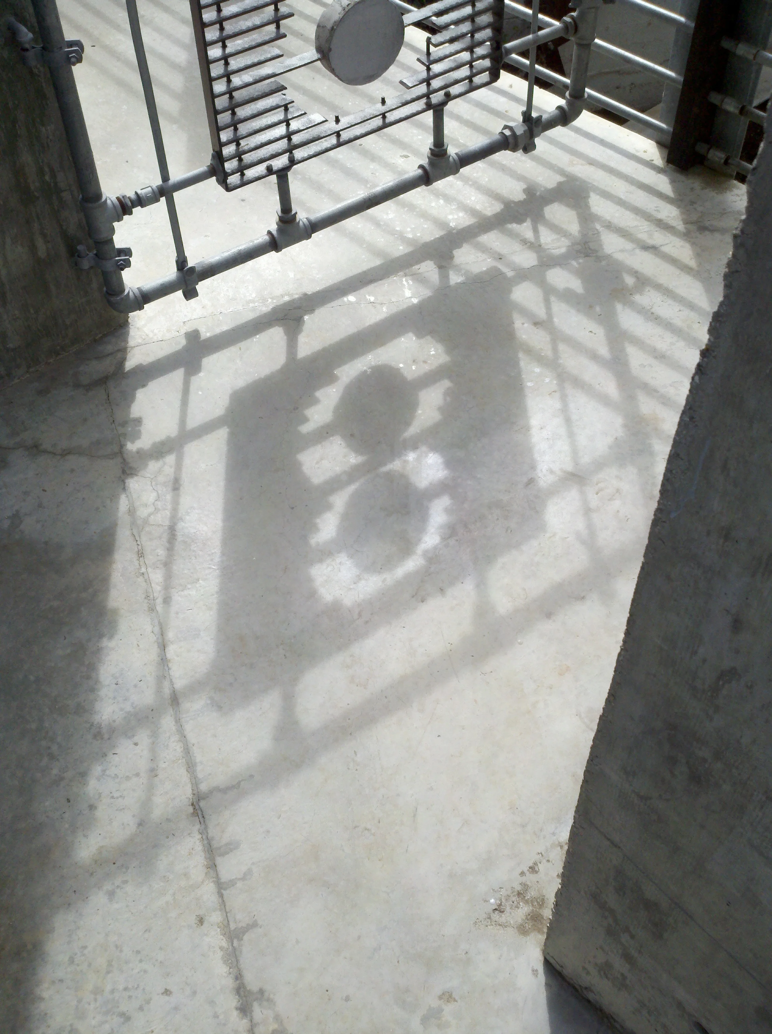 Number 8 gate.jpg