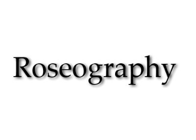clientship logo .png