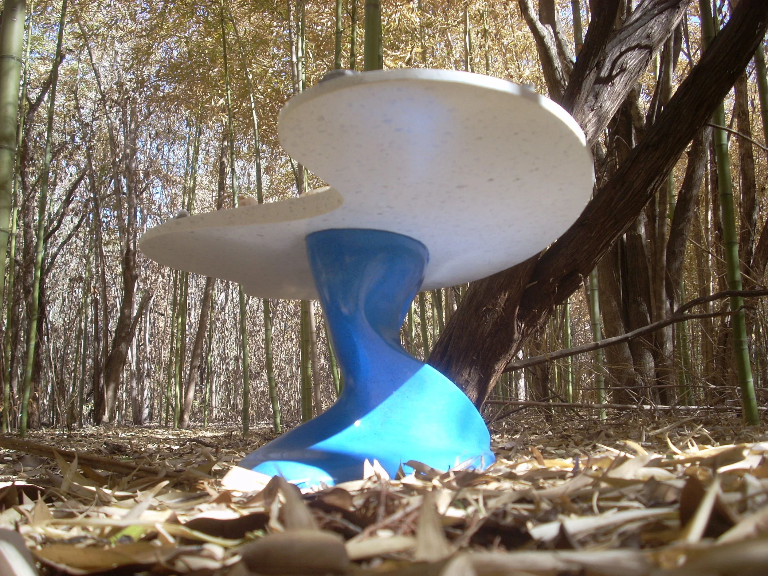 DSCN6102.JPG
