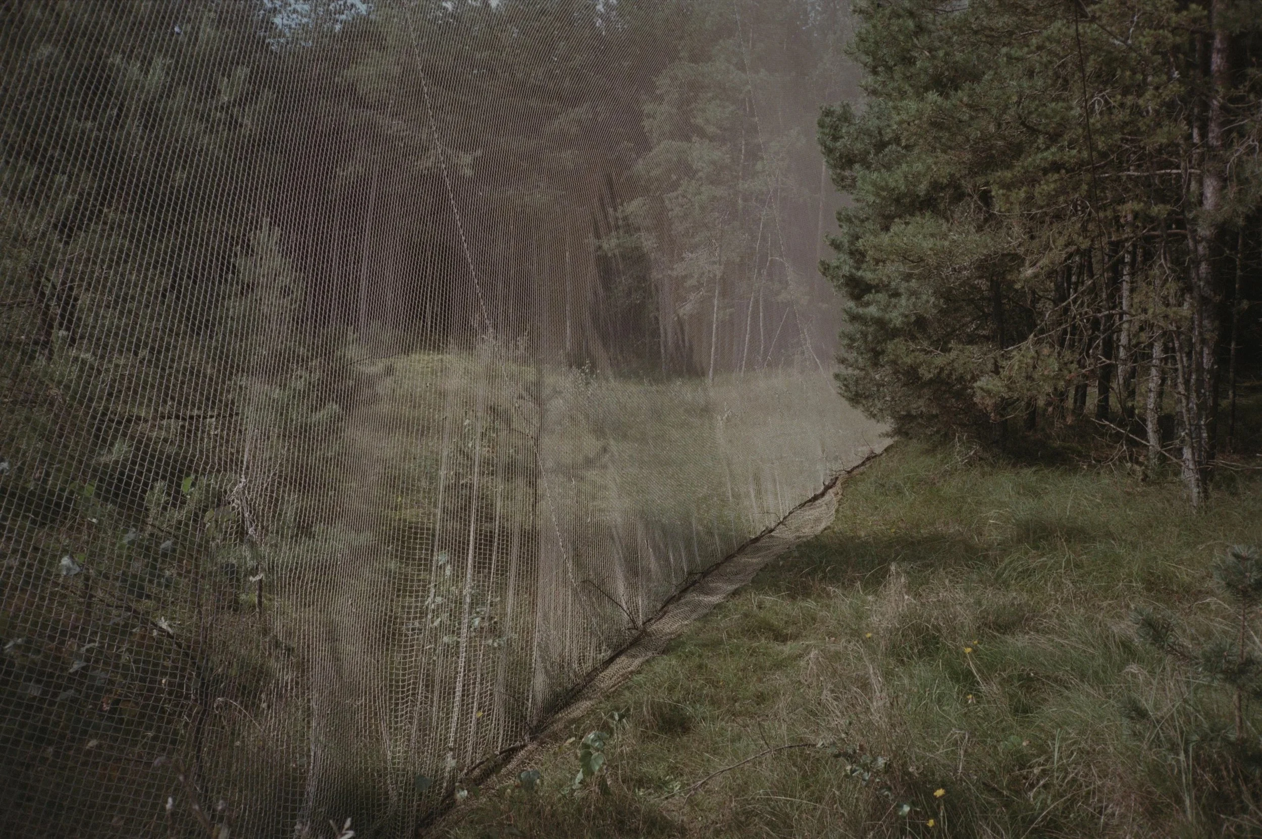 Hidden Kingdom - Edition print of 100