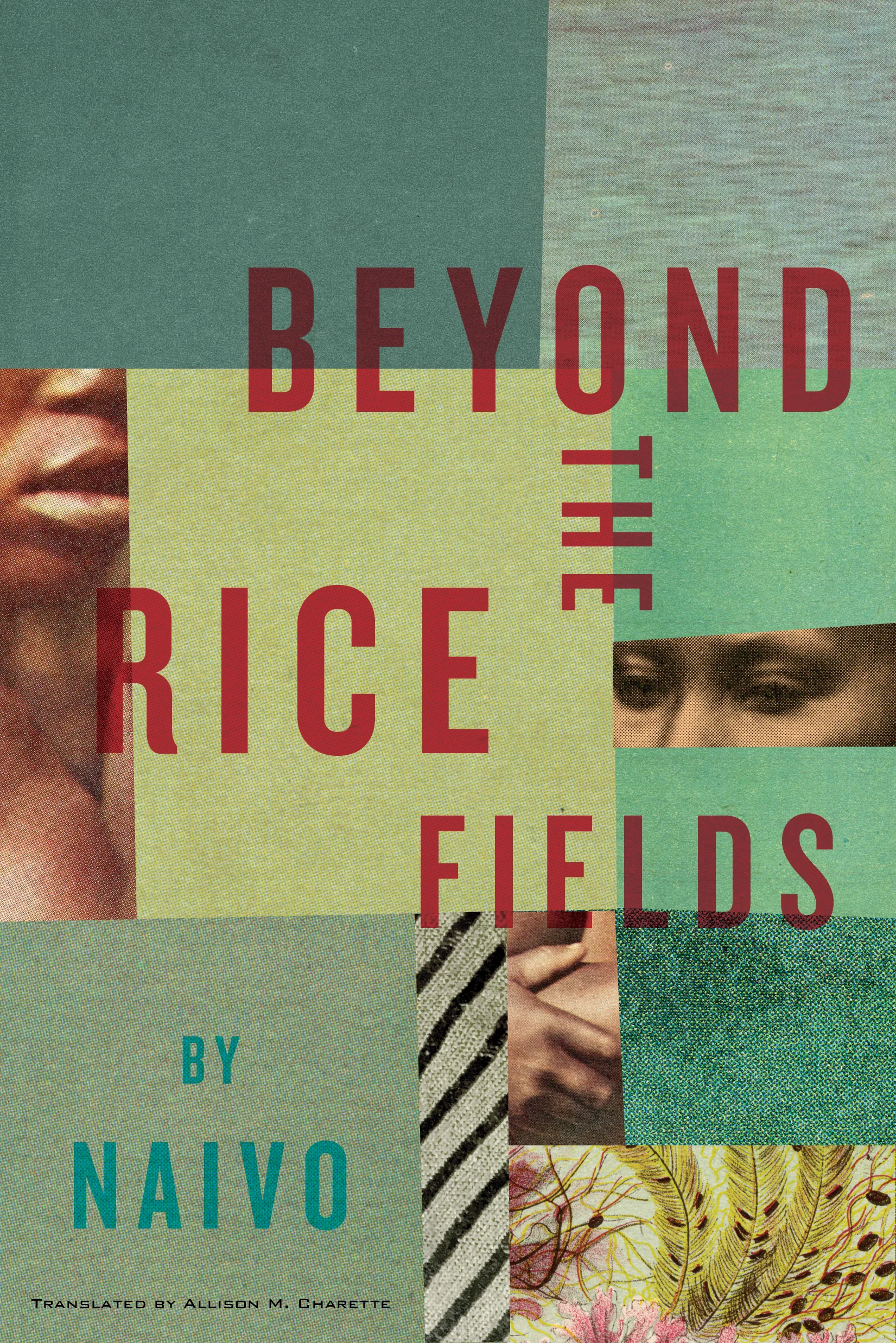 Beyond the Rice Fields - 9781632061317.jpg