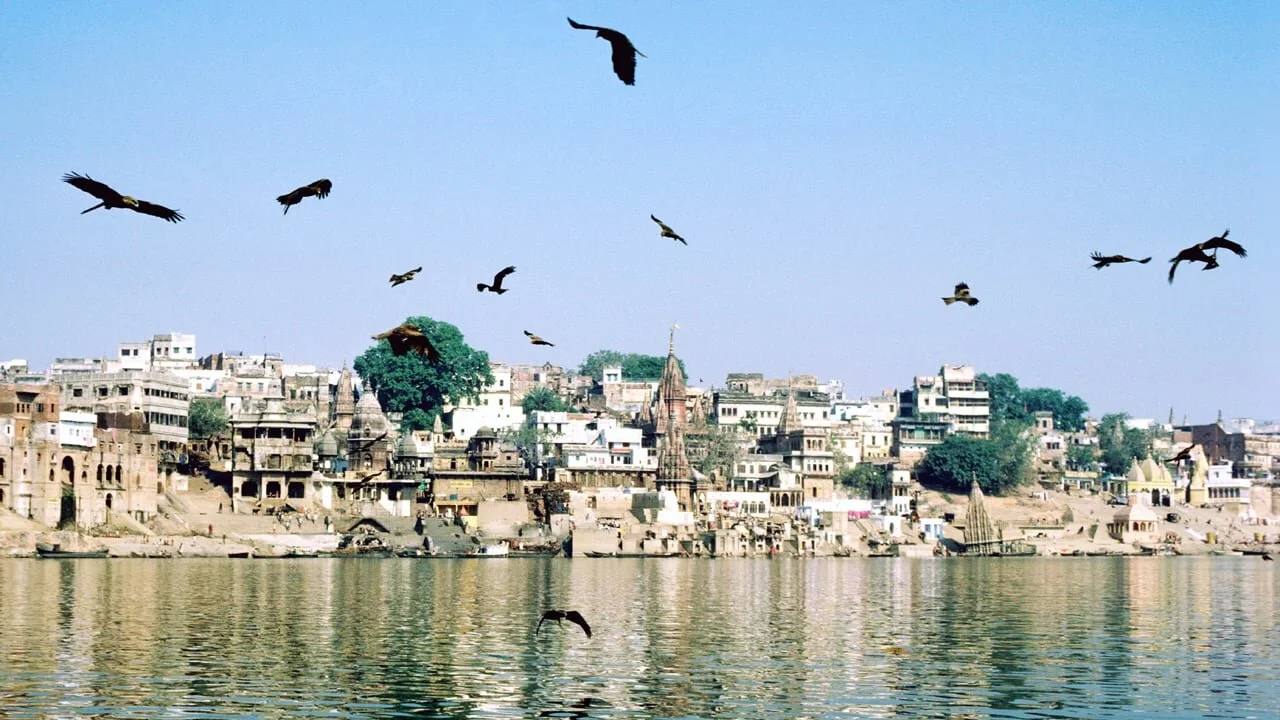 Conversations with Priyanka Champaneri on "The City of Good Death"