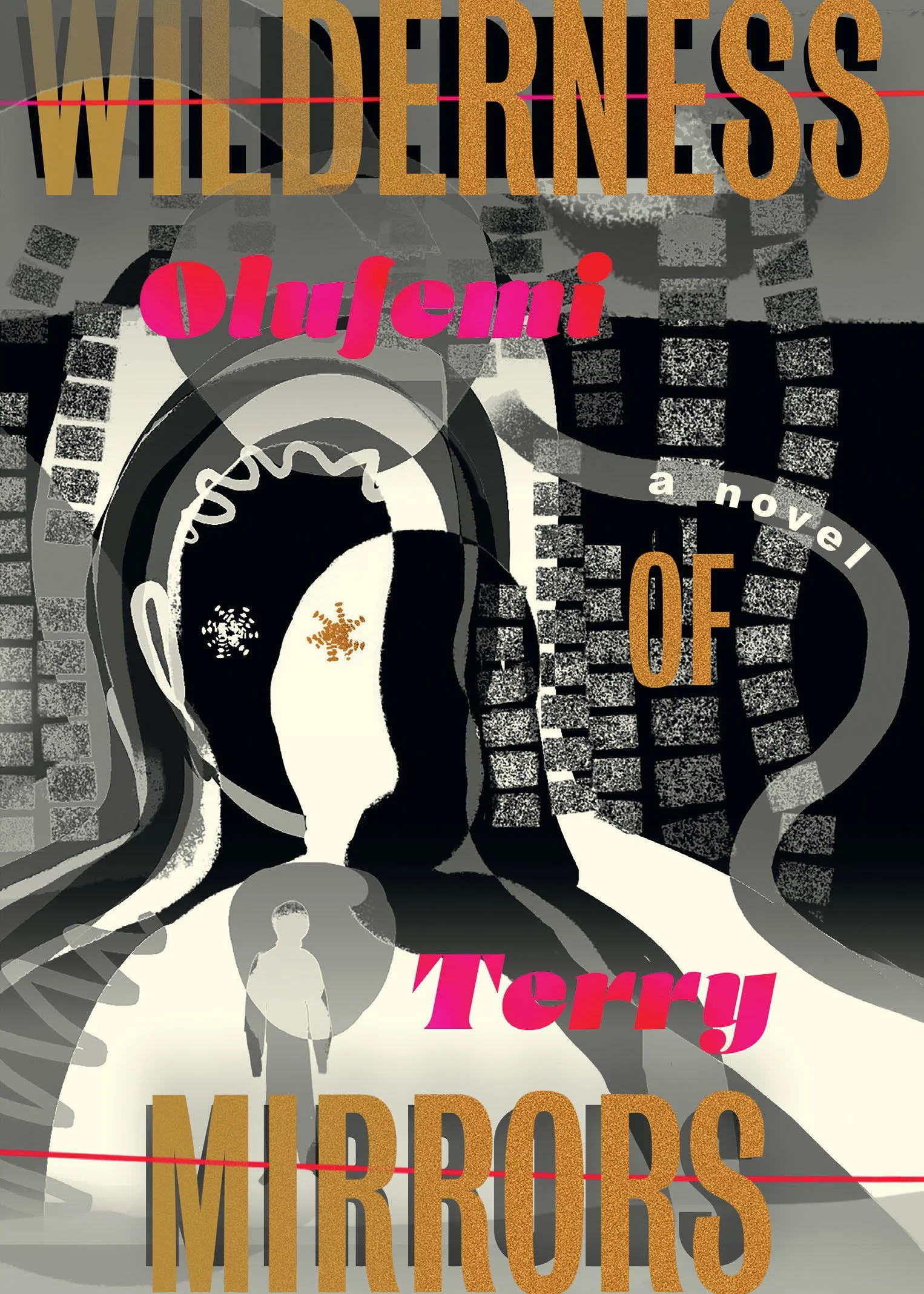 Olufemi Terry_Wilderness of Mirrors_9781632063984_cover.jpg