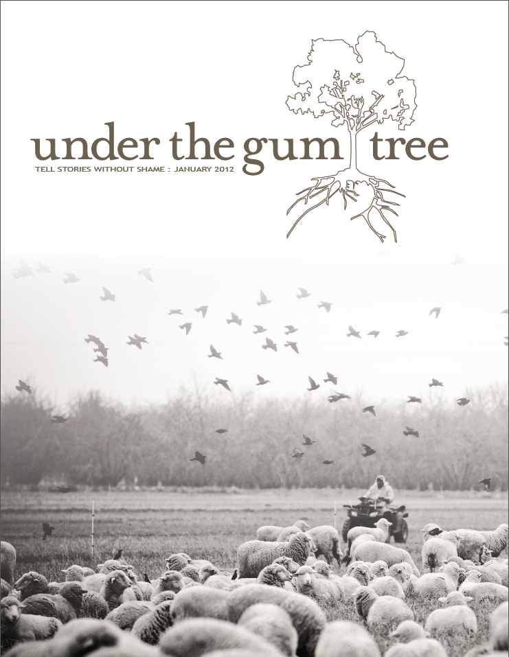 UTGT_012012_cover.png