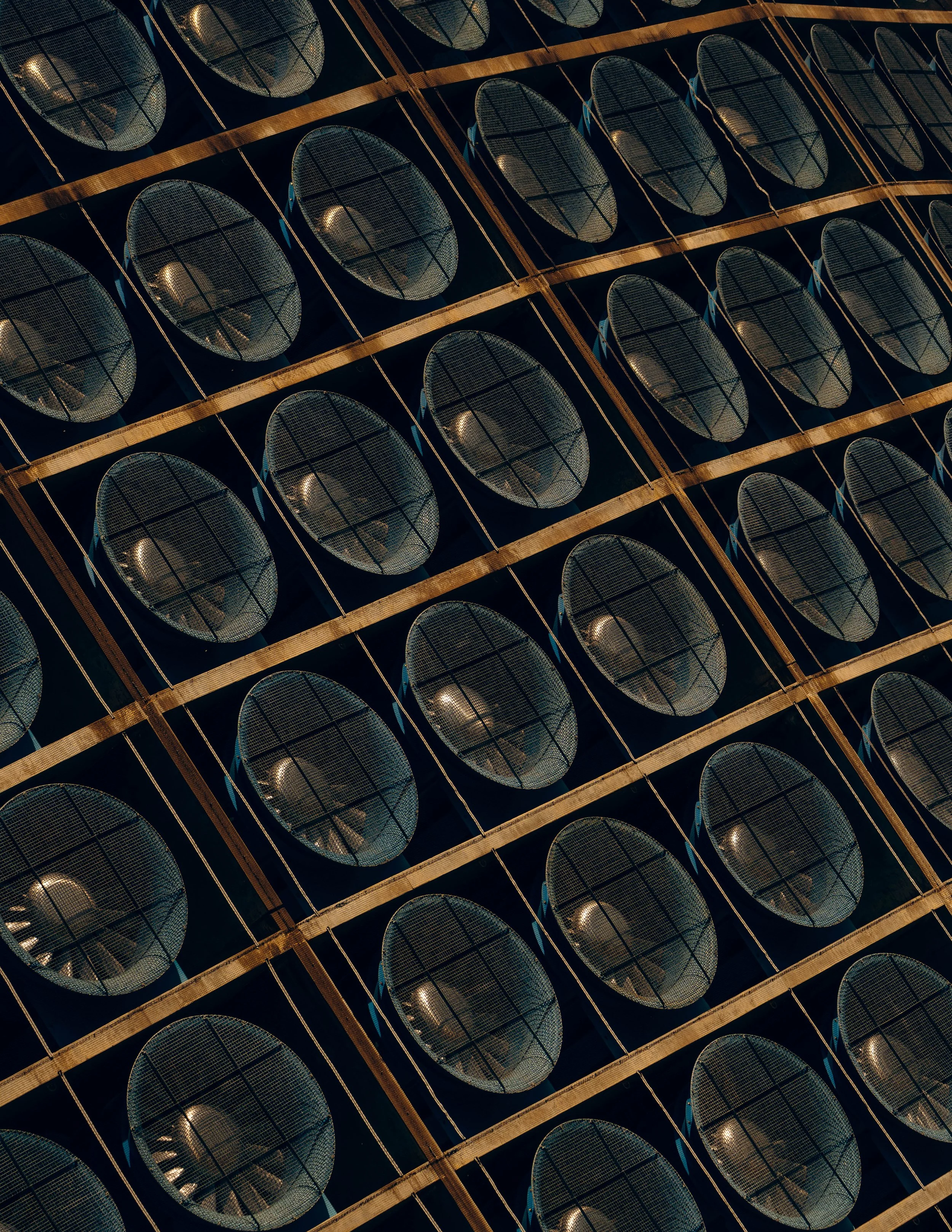 NYT_wildfire_Testing-65-WillCrooks.jpg