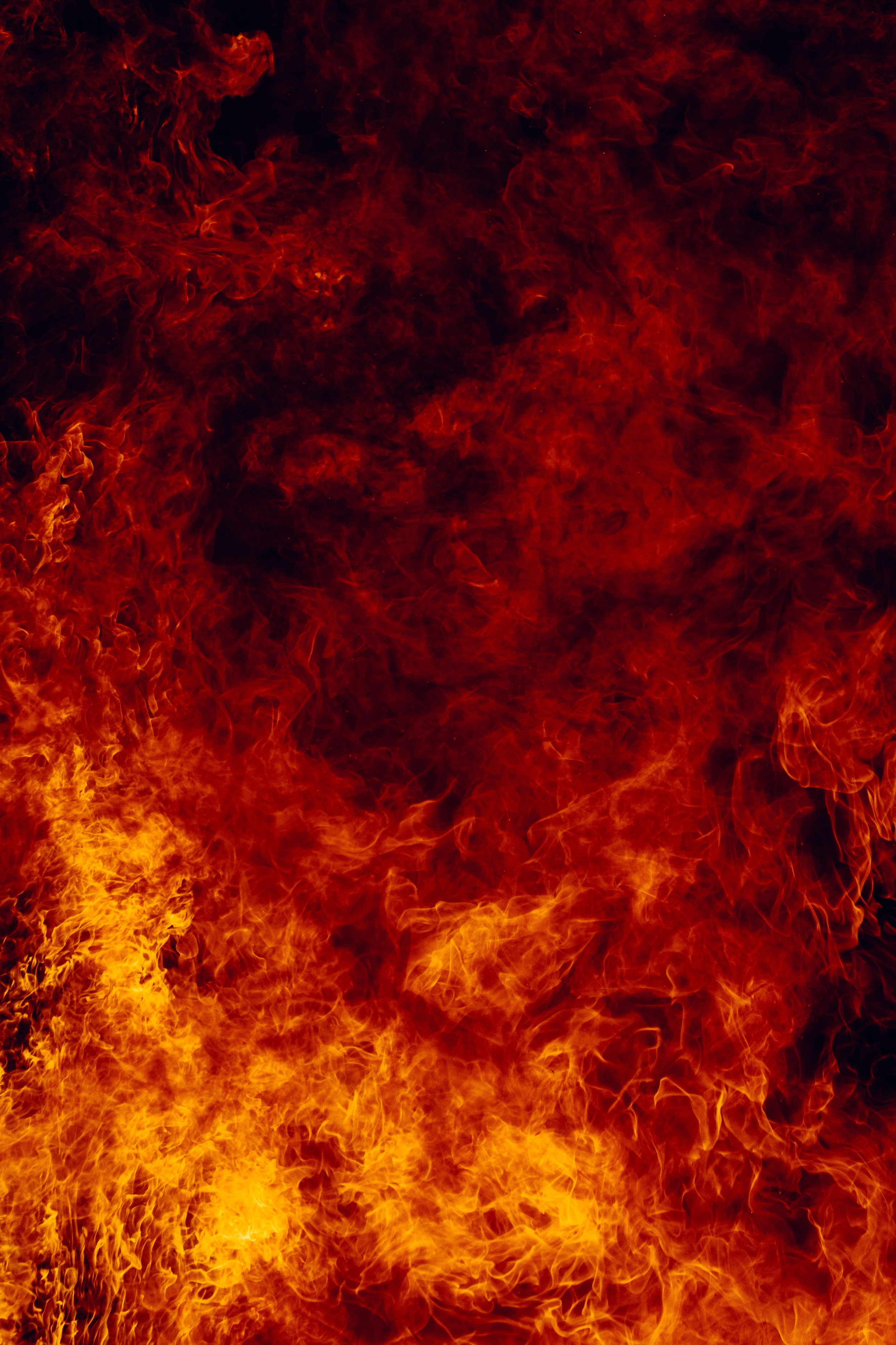 NYT_wildfire_Testing-75-WillCrooks.jpg