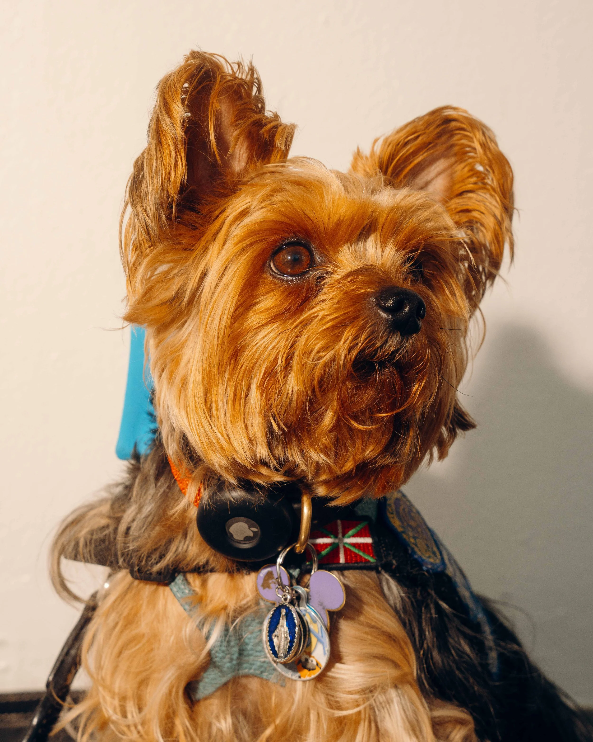 ChosenCon_The_New_Yorker-51-WillCrooks.jpg