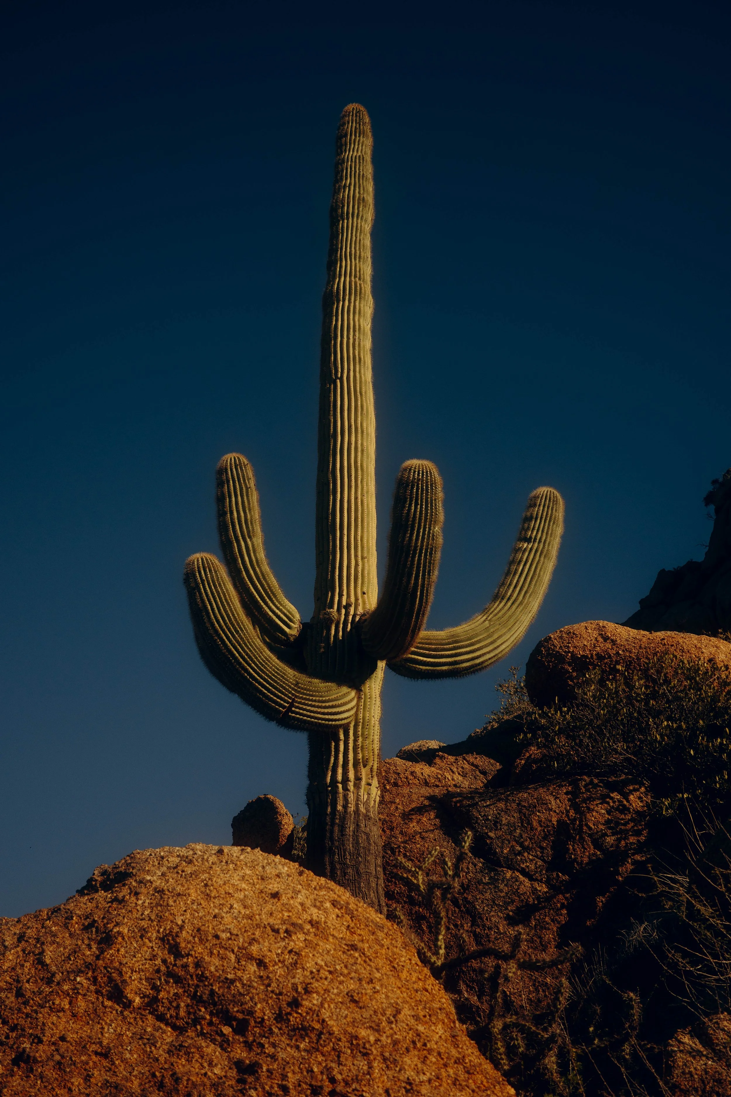 Memories_Arizona-40-WillCrooks.jpg