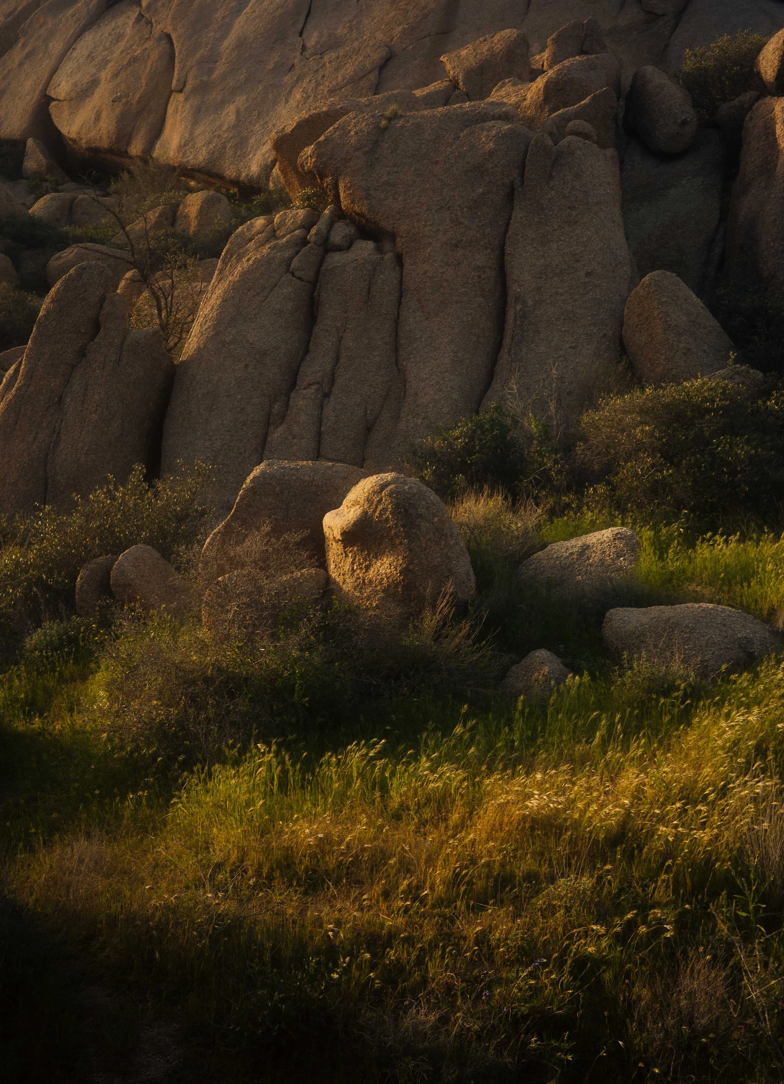Memories_Arizona-37-WillCrooks.jpg