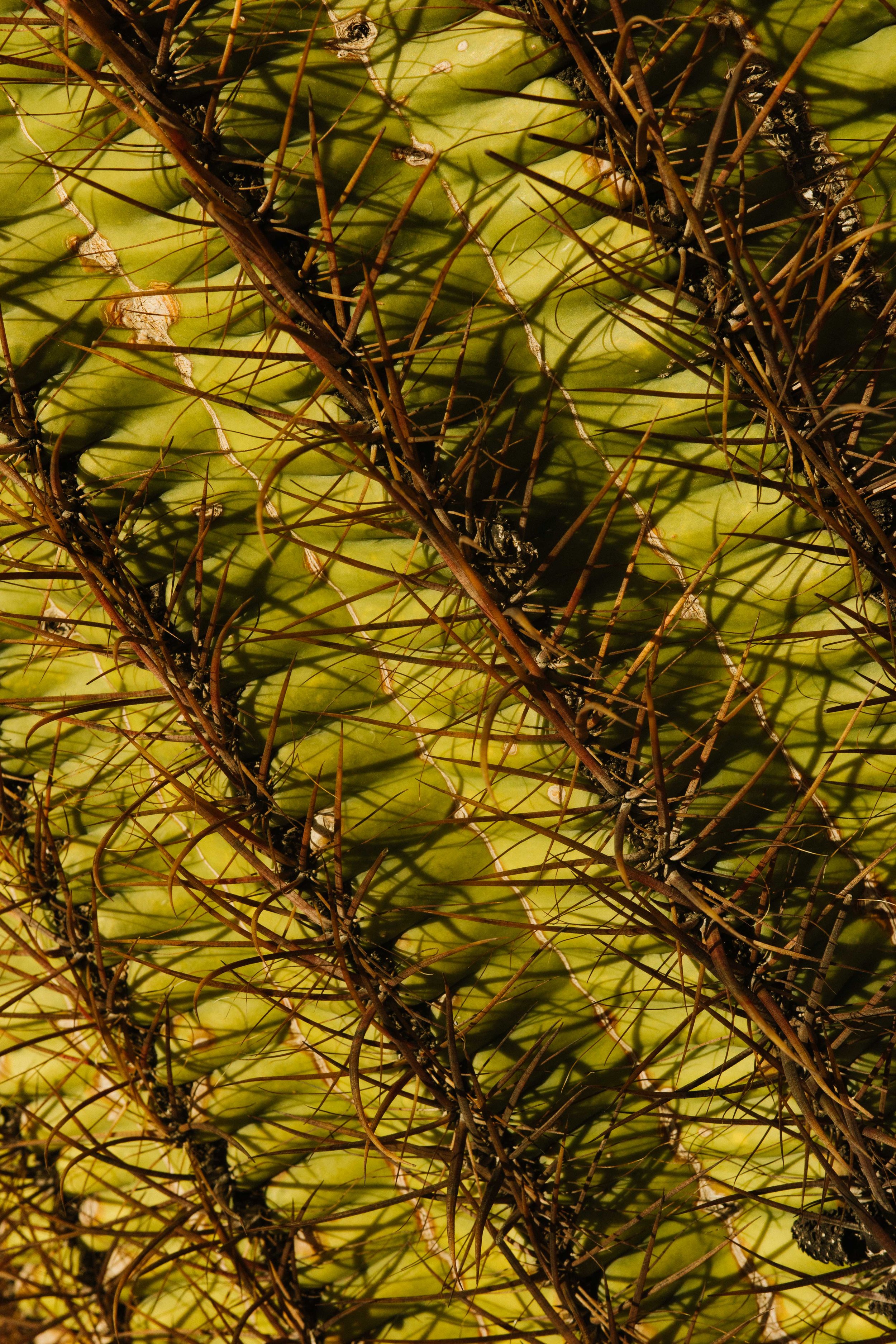 Memories_Arizona-38-WillCrooks.jpg
