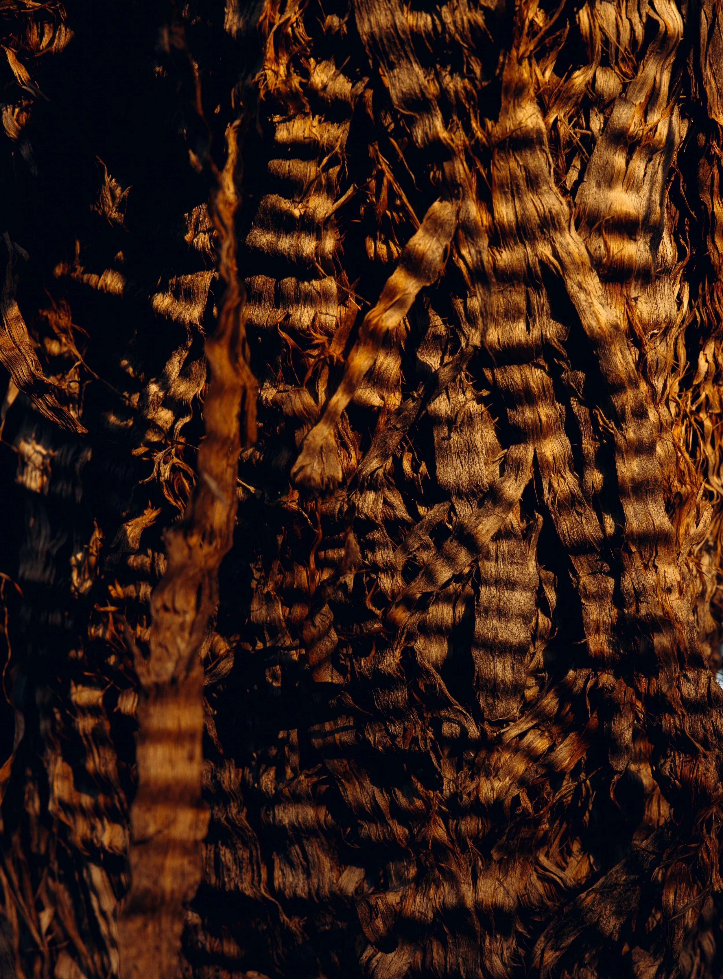 Memories_Arizona-28-WillCrooks.jpg