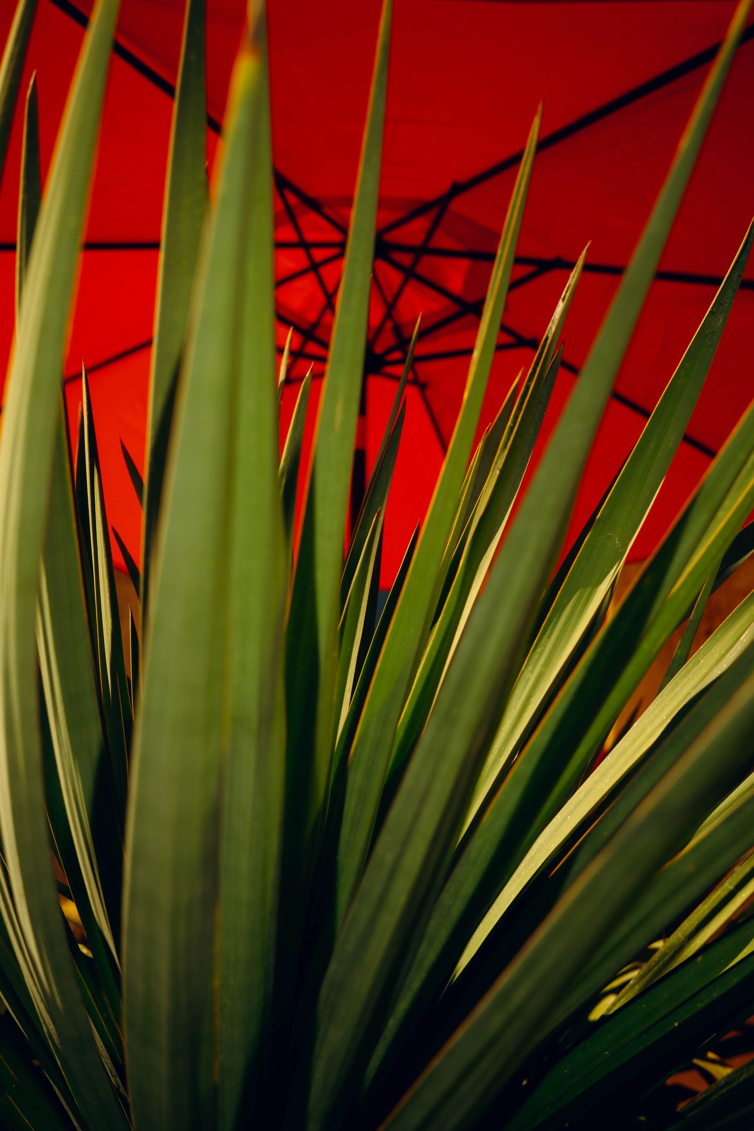 Memories_Arizona-21-WillCrooks.jpg