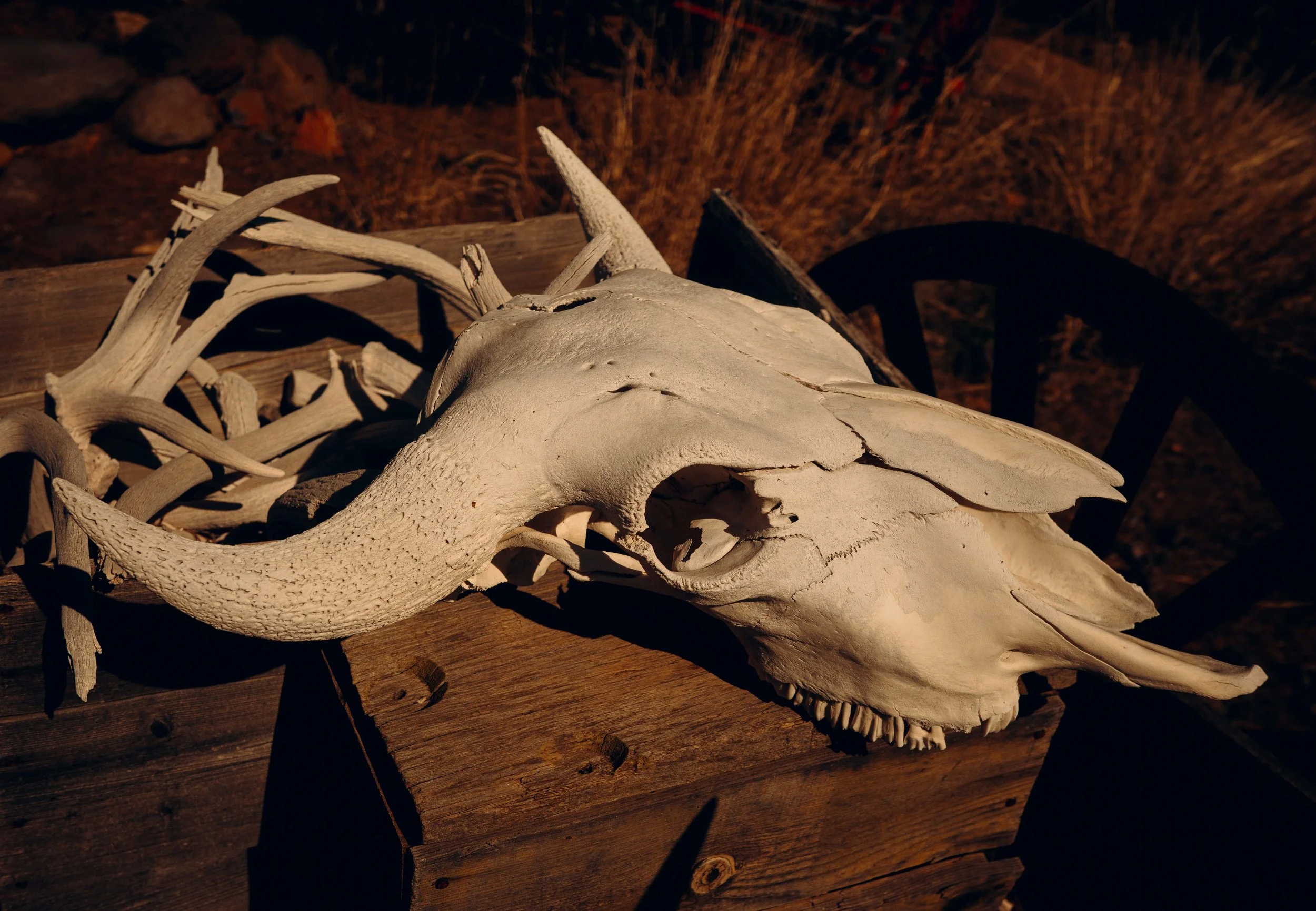 Memories_Arizona-18-WillCrooks.jpg