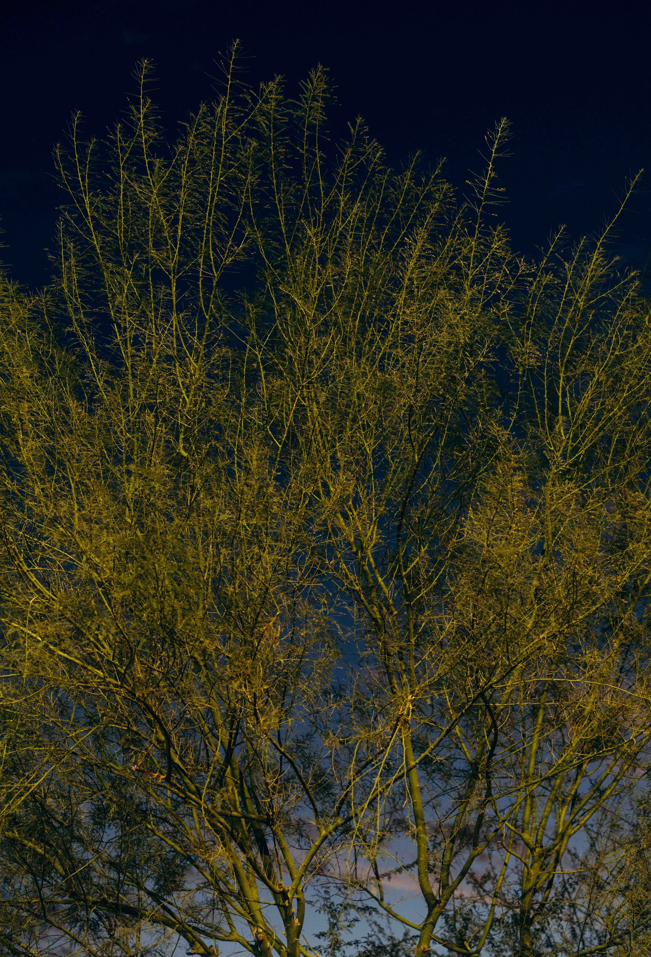 Memories_Arizona-1-WillCrooks.jpg