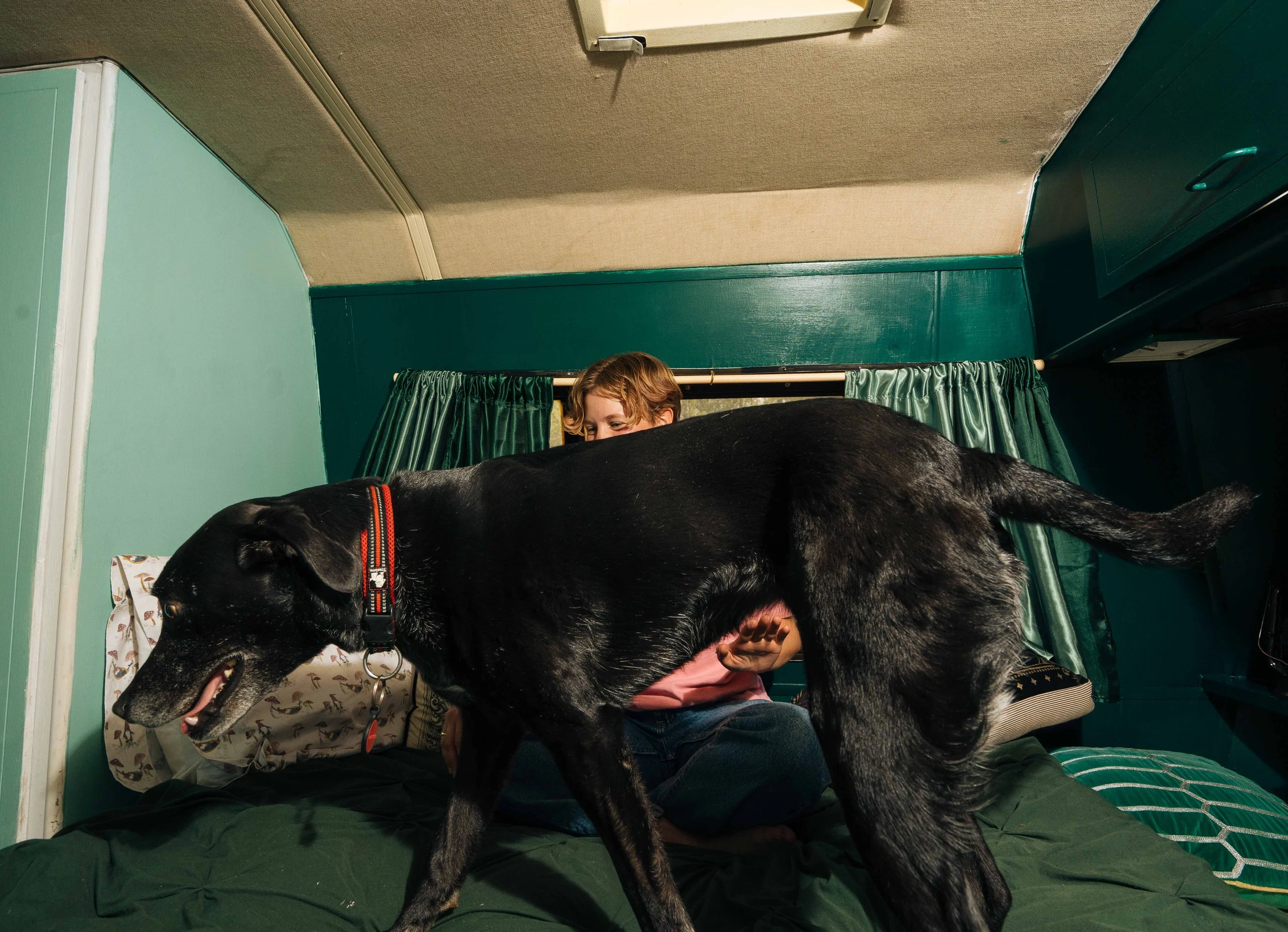 Eli_at_home_8_WillCrooks.jpg