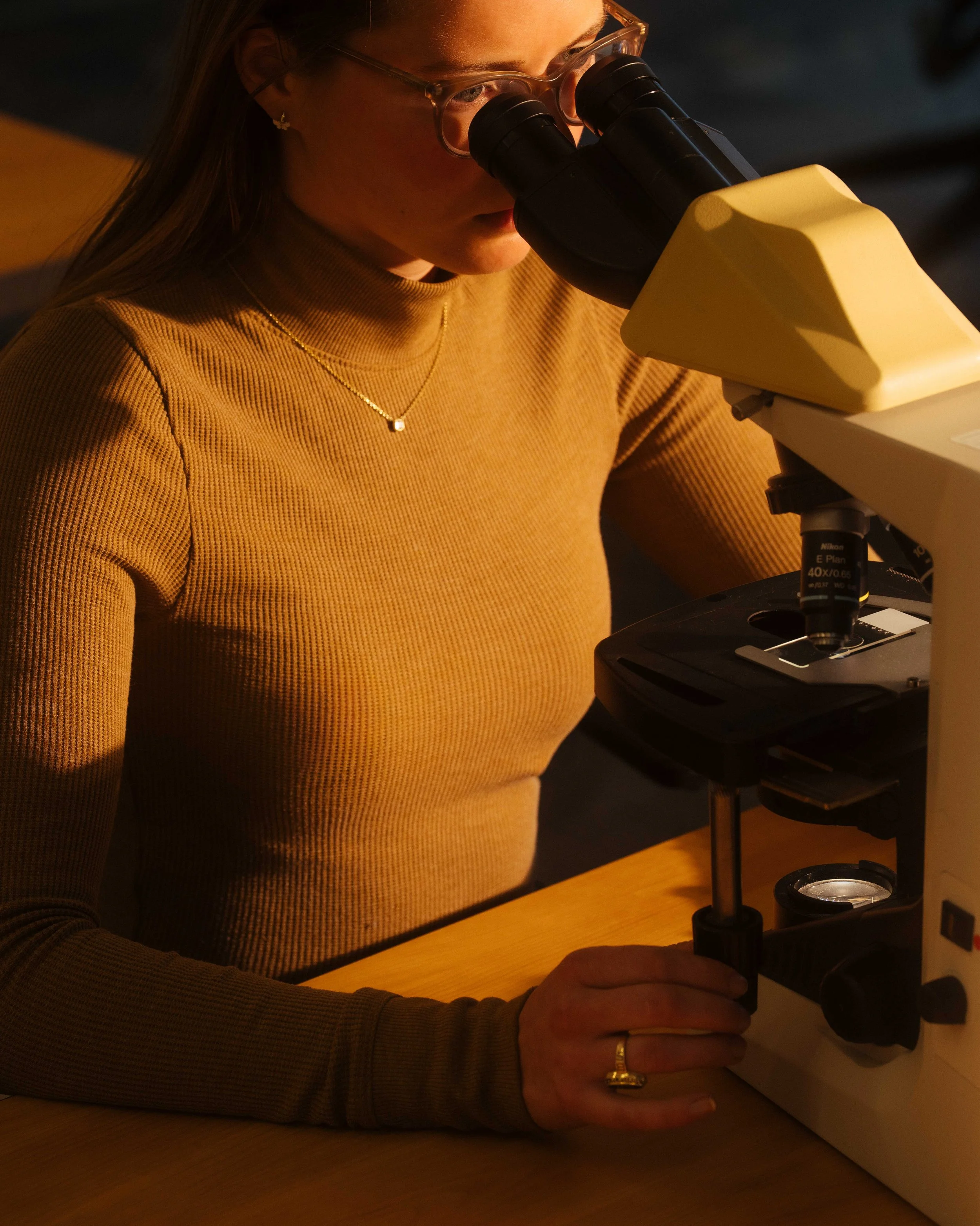 Bees_UGA_Veterinary_NYT_2_WillCrooks.jpg