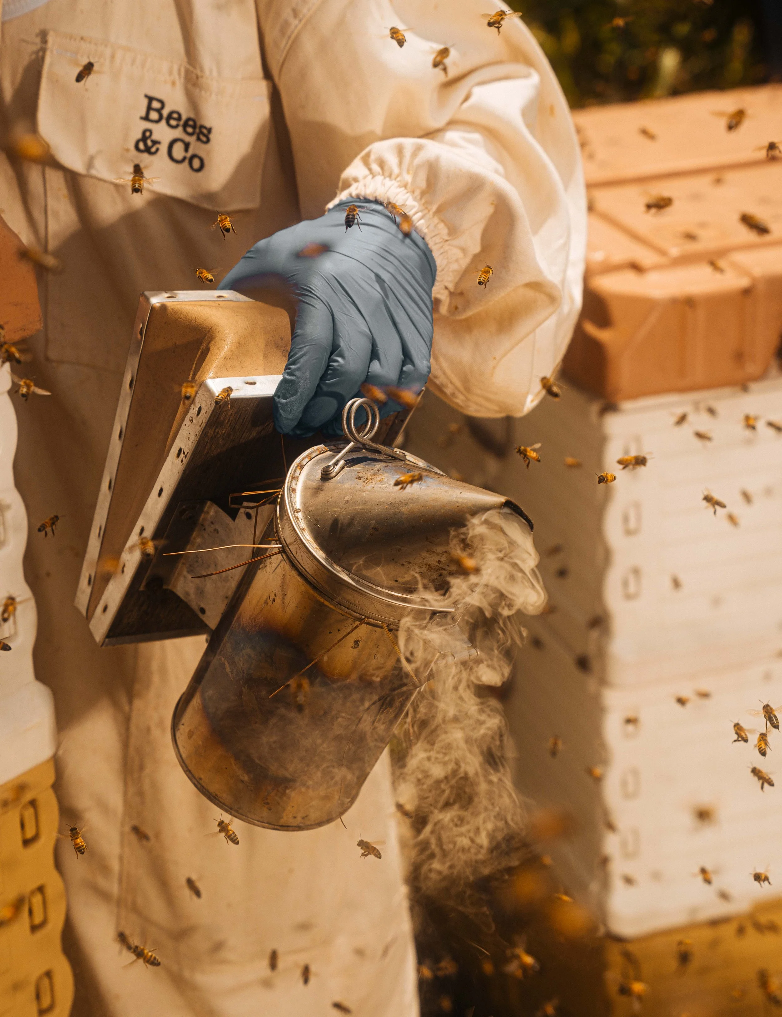 NYT_Bee_Veterinary_Program_UGA_23_WillCrooks.jpg