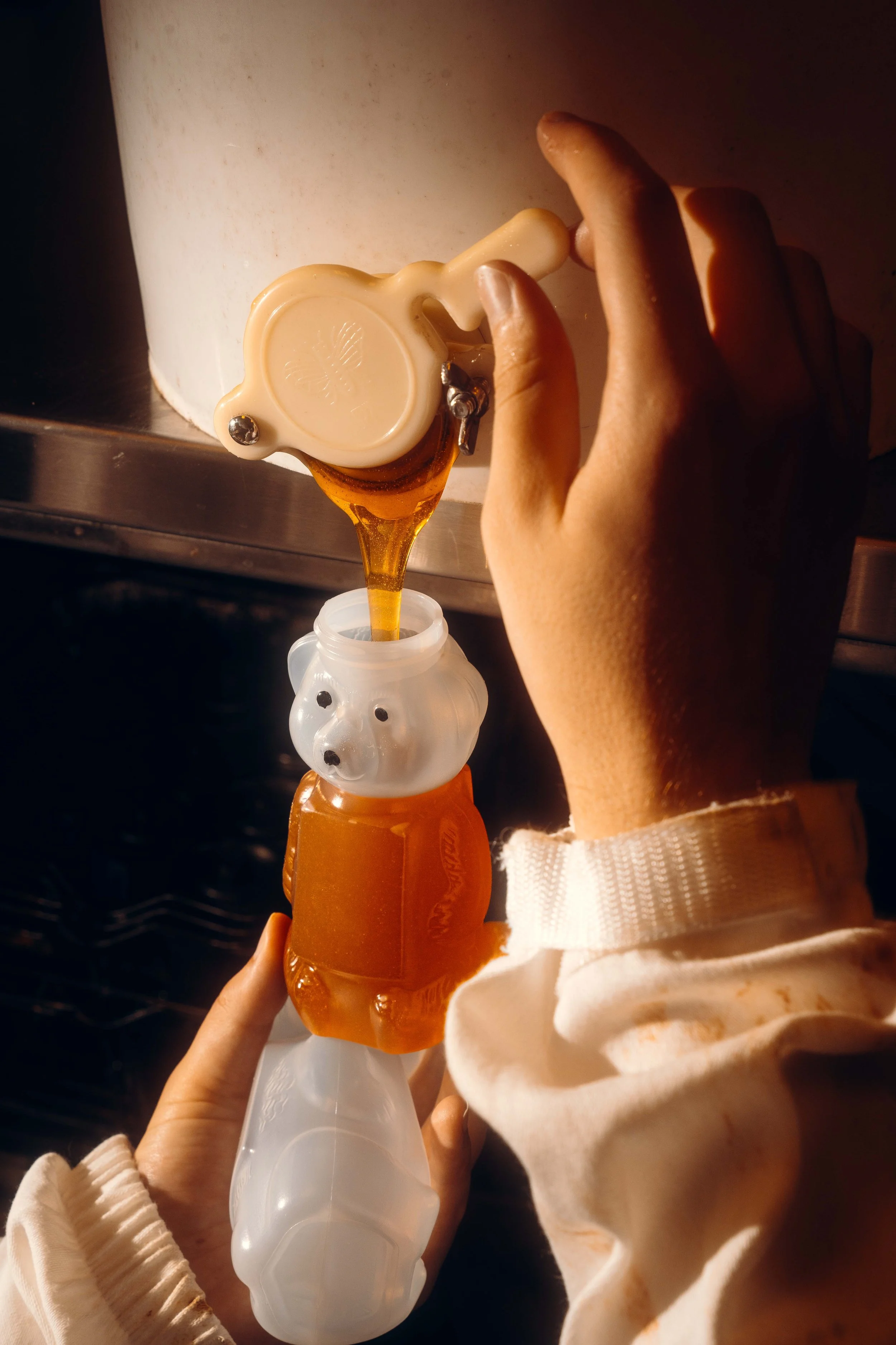NYT_Bee_Veterinary_Program_UGA_36_WillCrooks.jpg