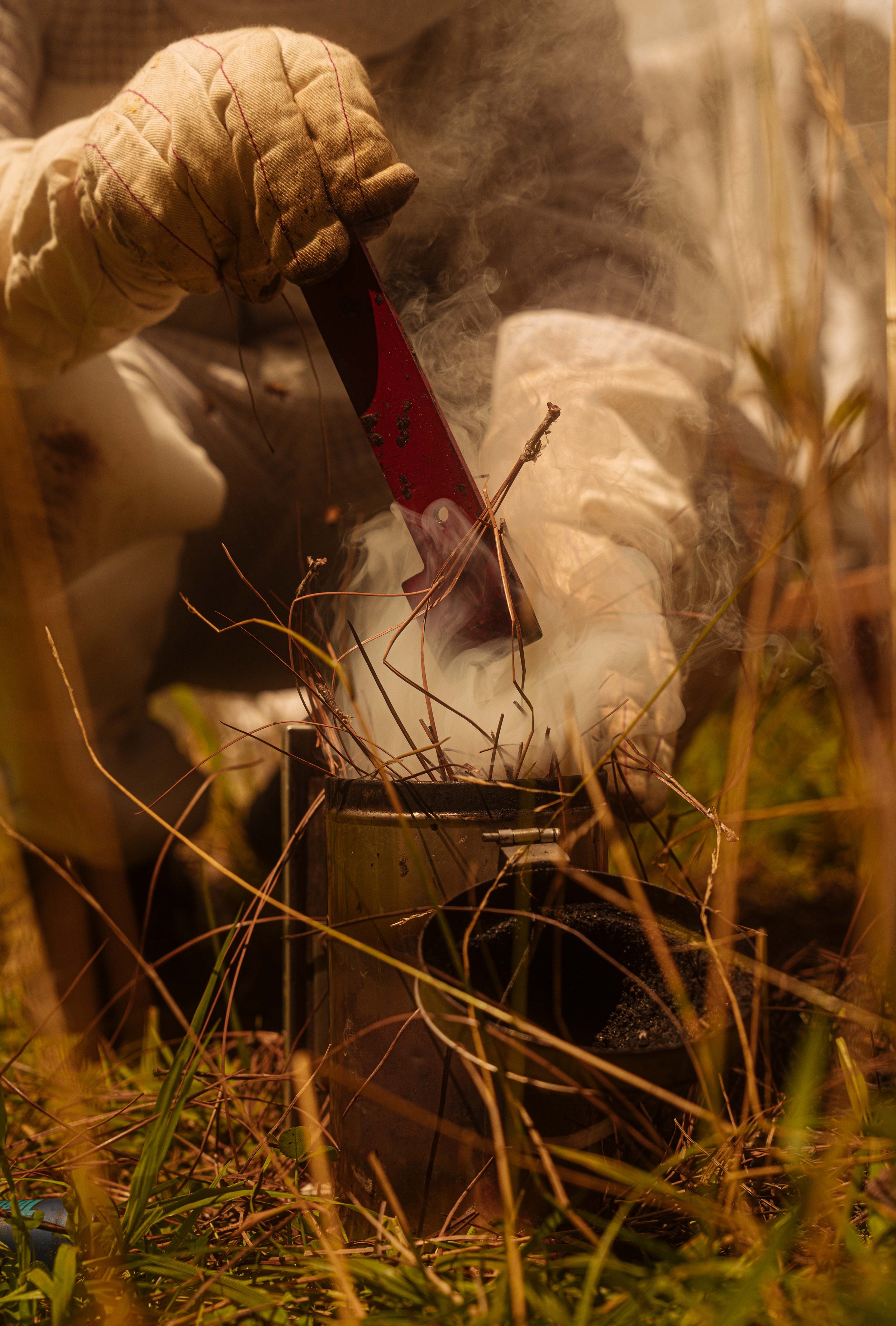 Bees_UGA_Veterinary_NYT_22_WillCrooks.jpg