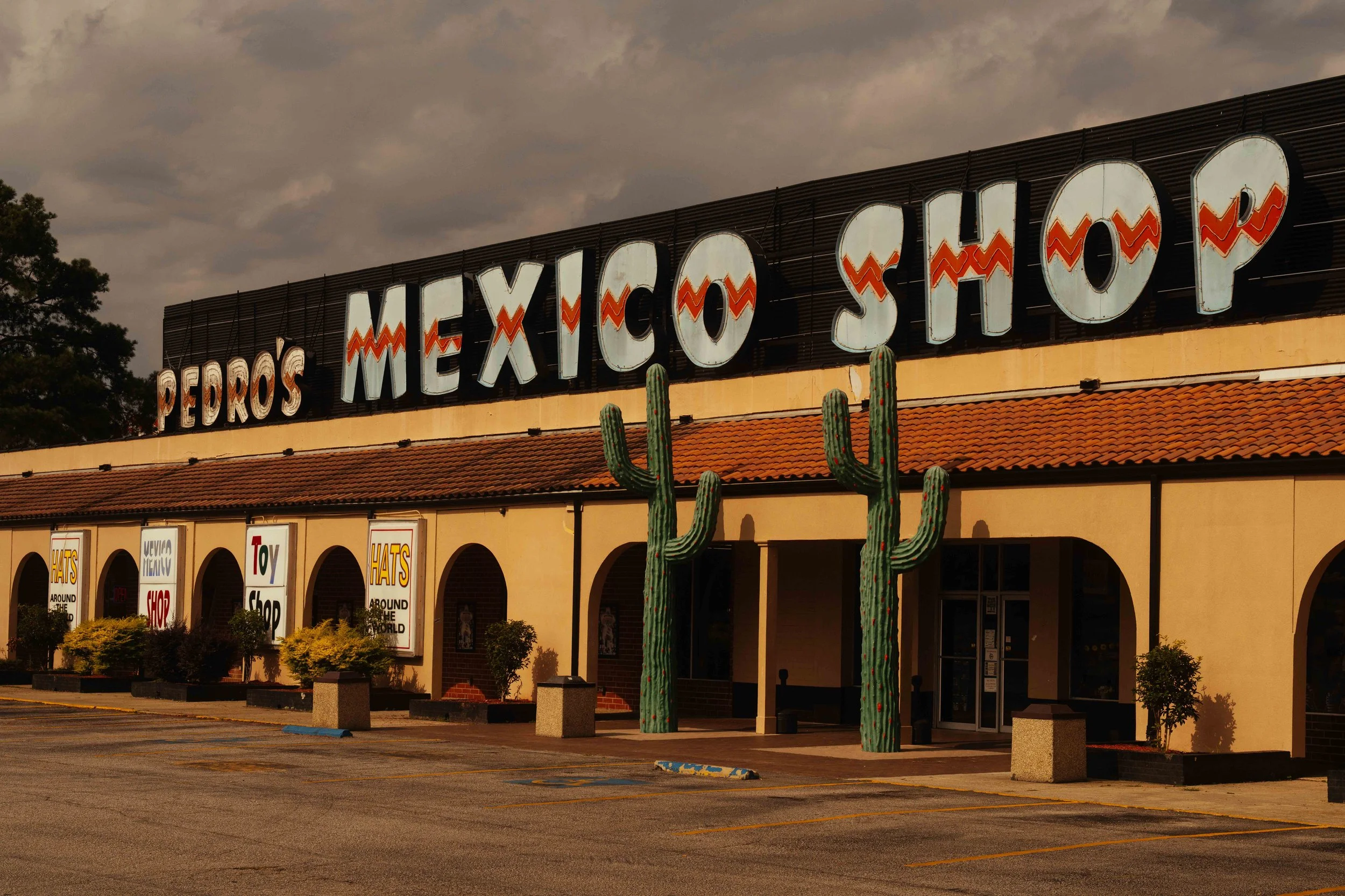South_of_the_Border_SC_NYT_29_WillCrooks.jpg