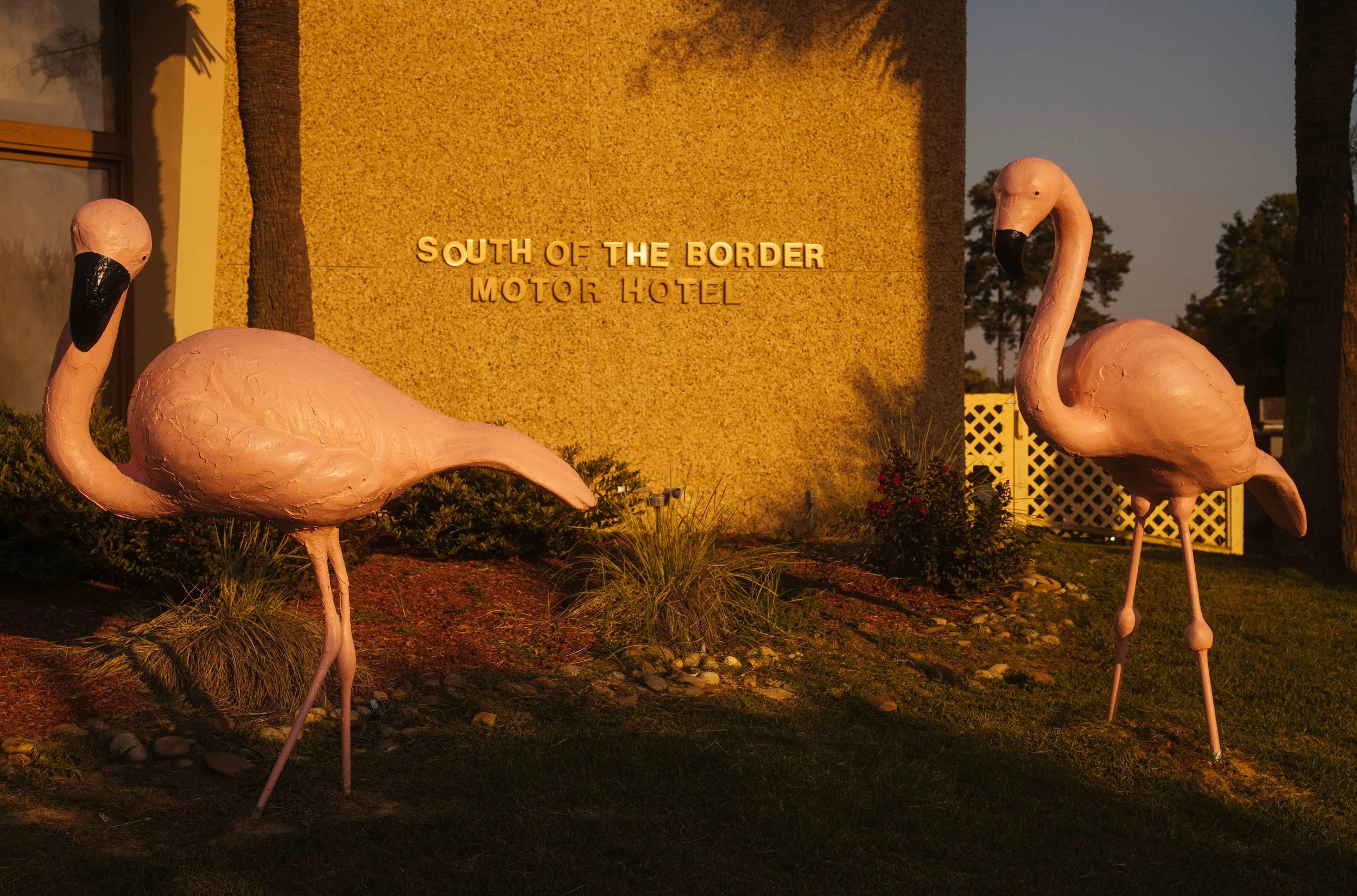 South_of_the_Border_SC_NYT_55_WillCrooks.jpg