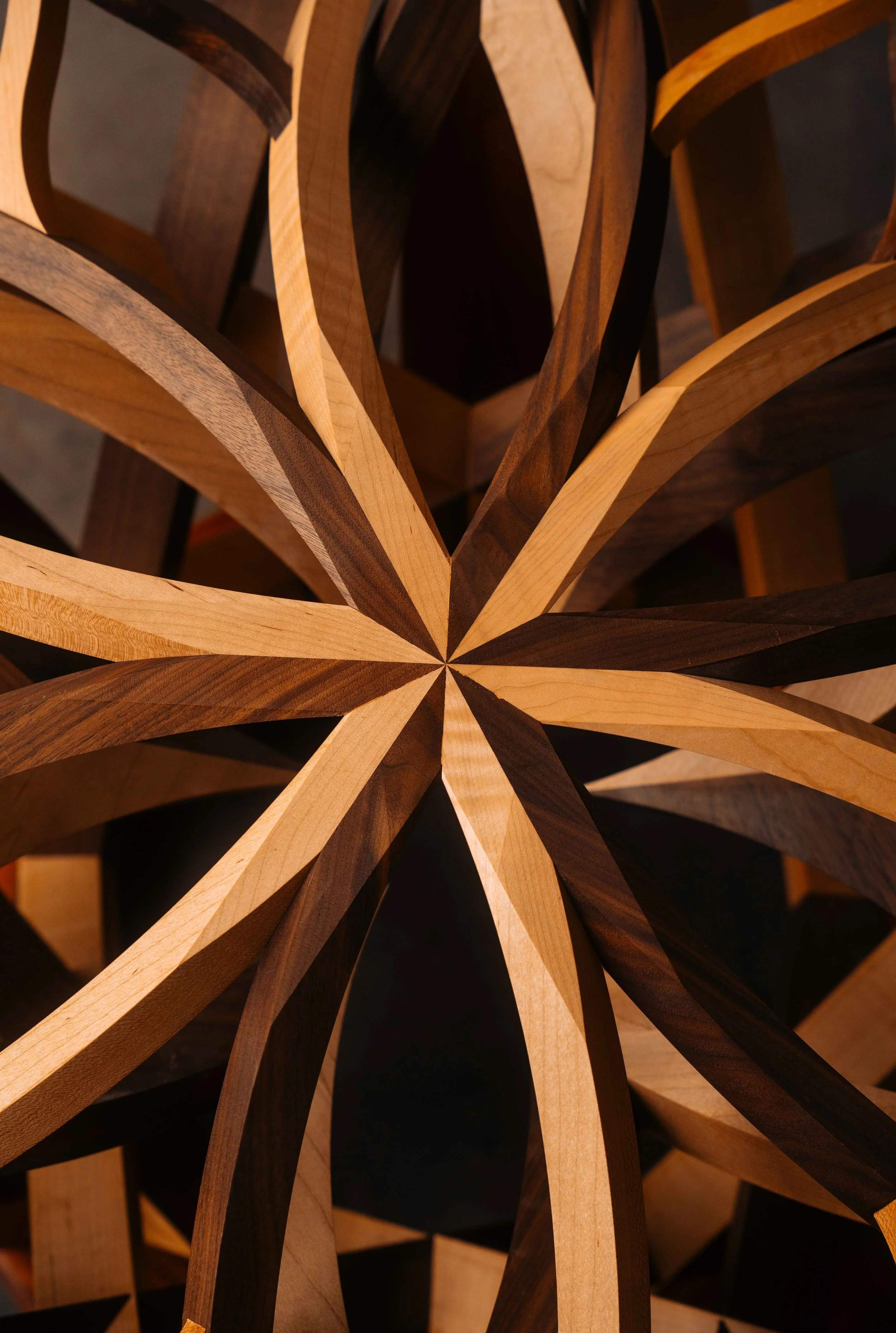 America_College_of_the_Building_Arts_Dwell_Magazine_43_WillCrooks.jpg