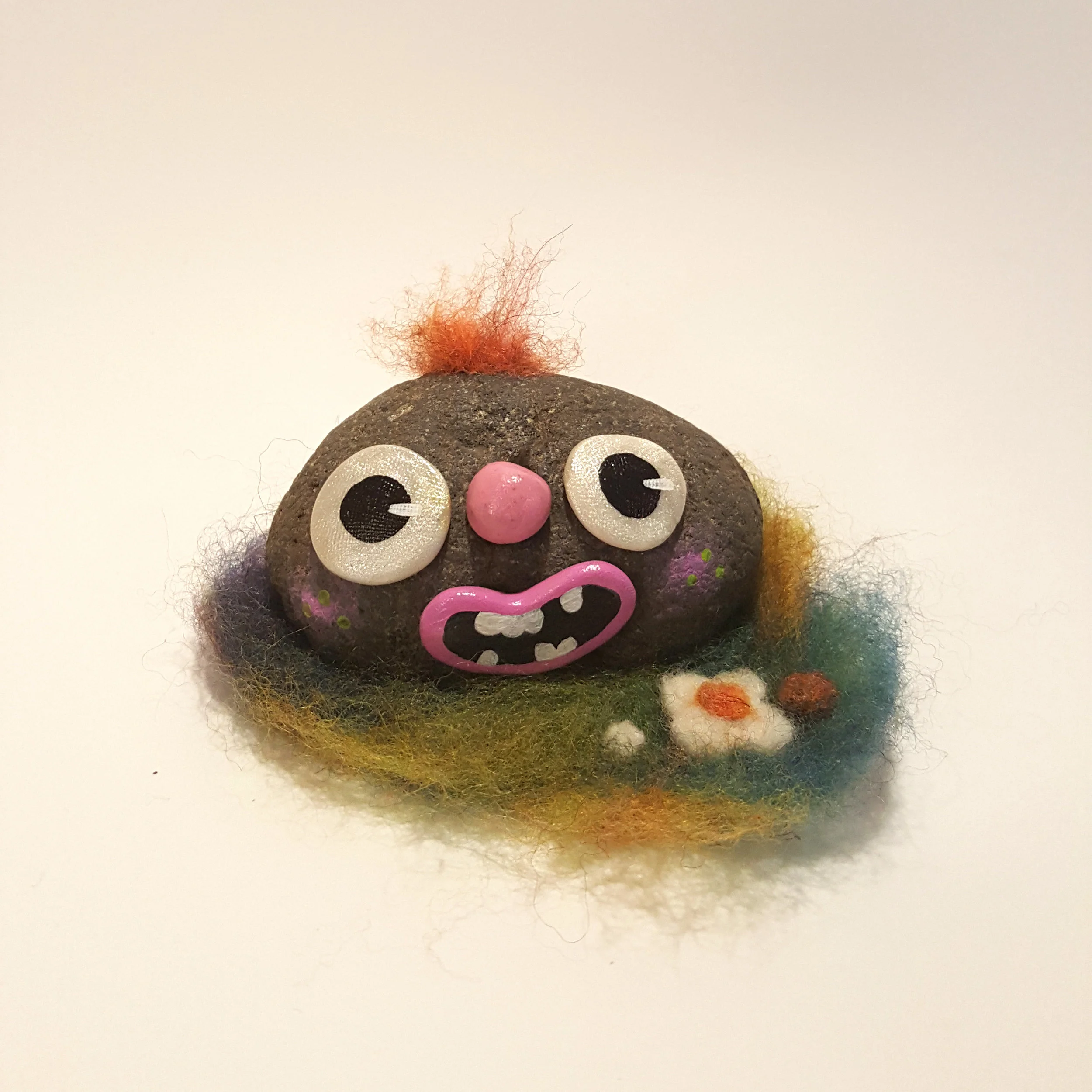 Pet Rocks!