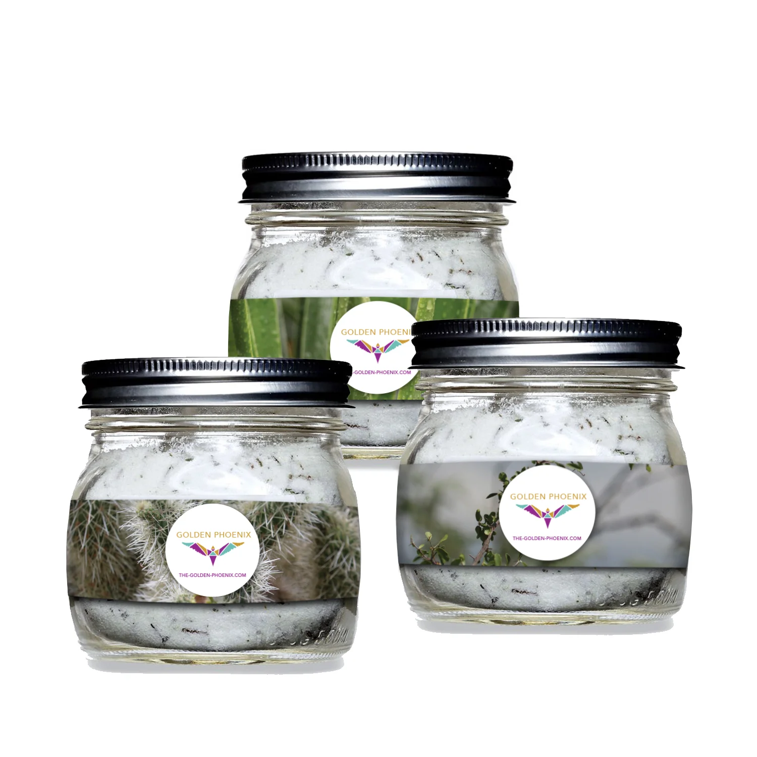 Small Thumbnail Jars 3.jpg