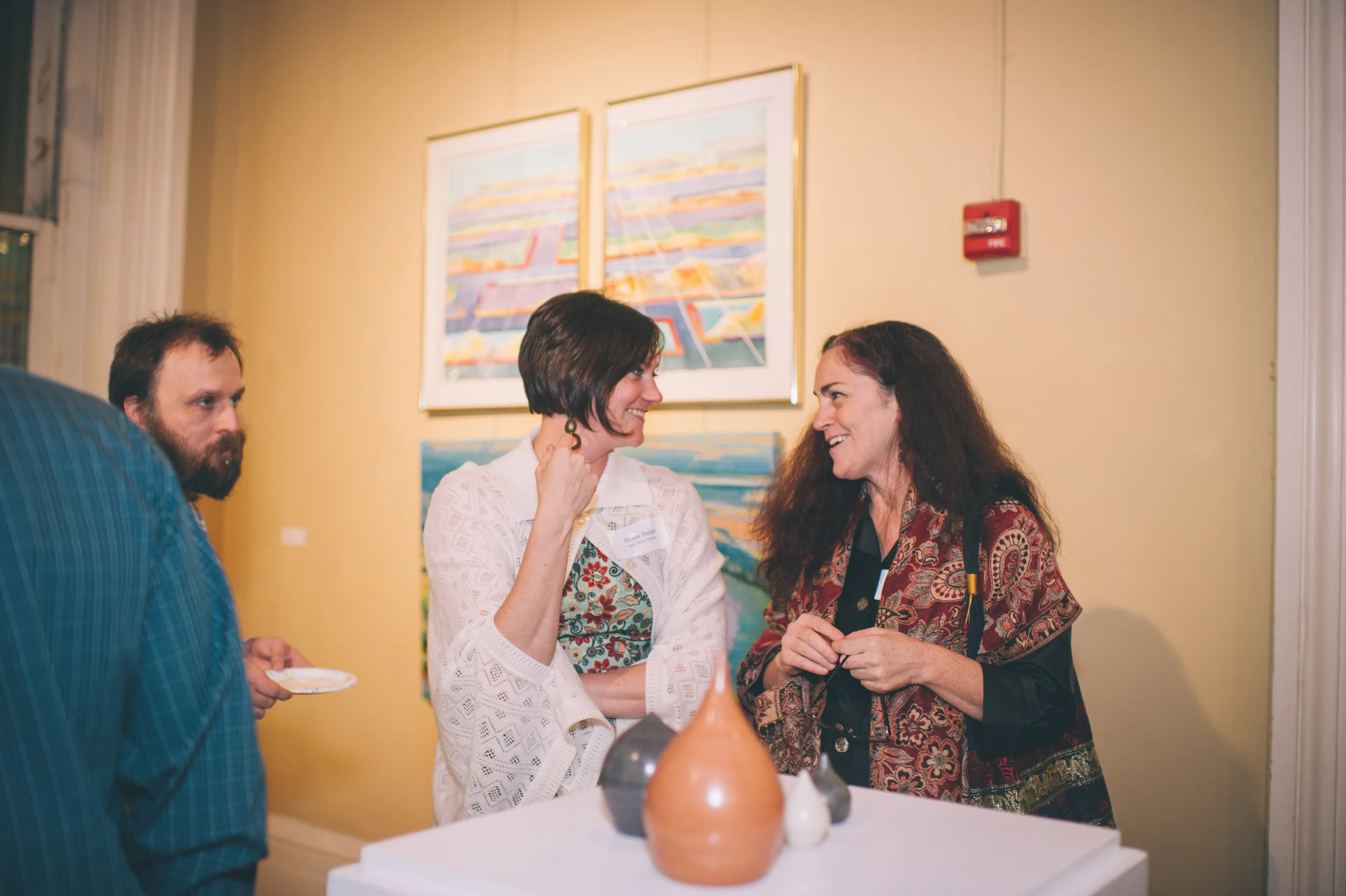 OSW Launch Party 2015-62.jpg