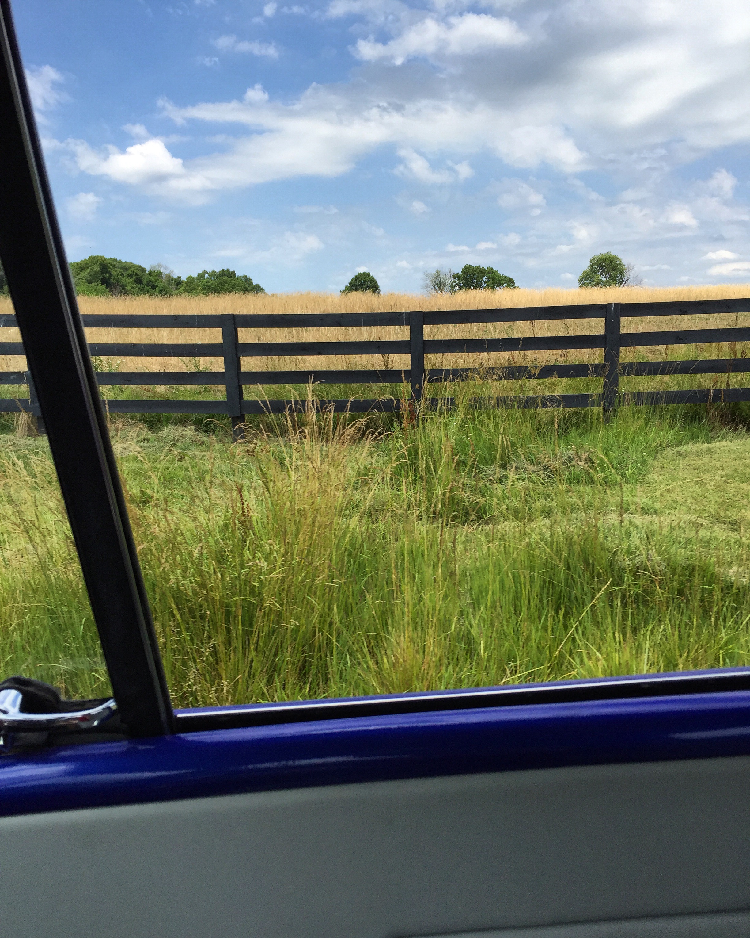 "Summer Days (Finchville, KY) by Jennifer Palmer, photograph (2016)